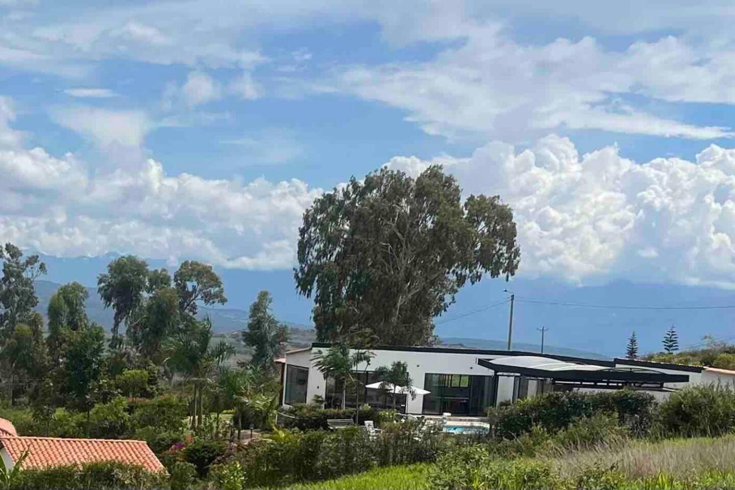 Las palmas