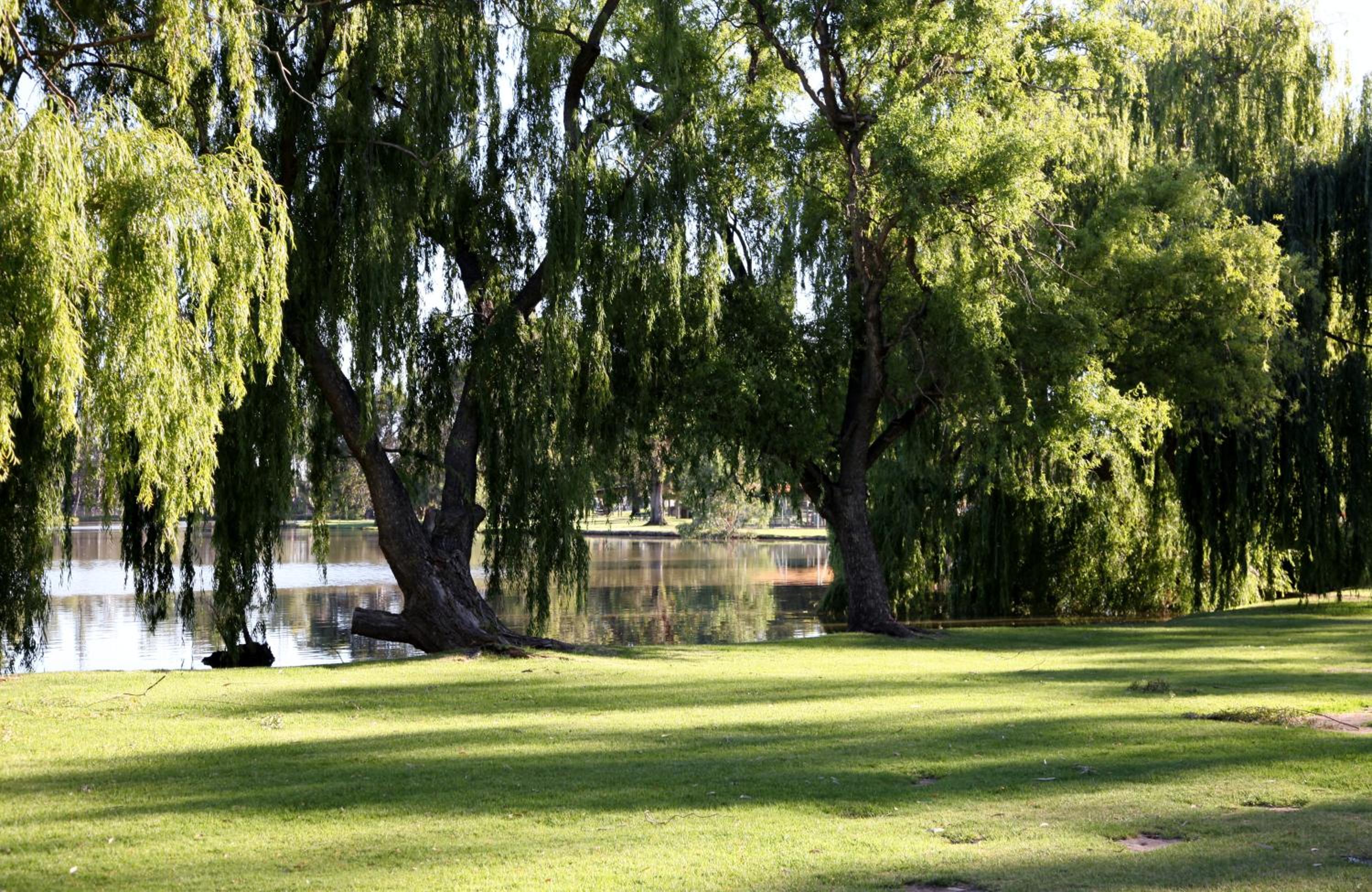 Cohuna Waterfront Holiday Park