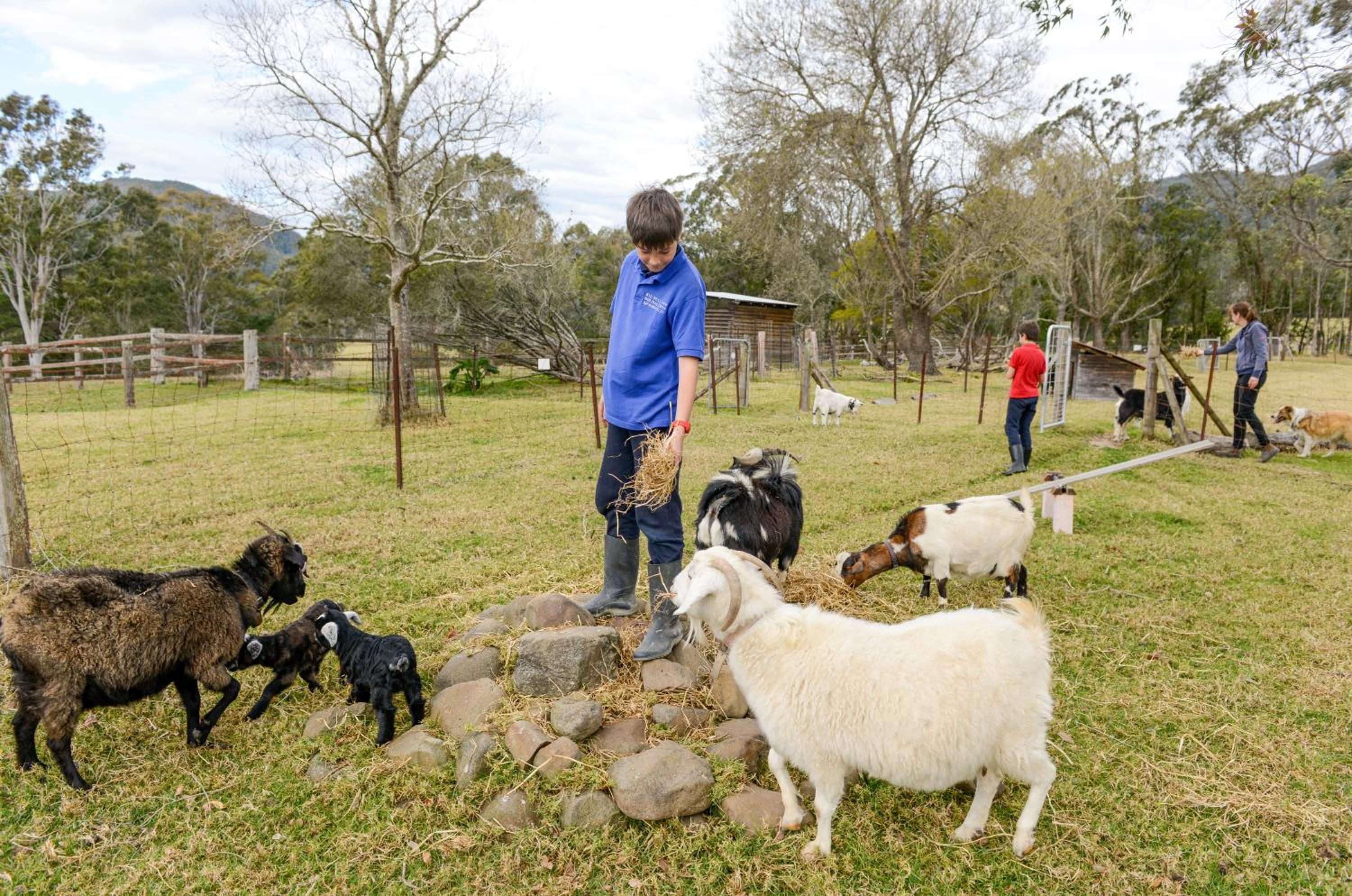 The Big Bell Farm