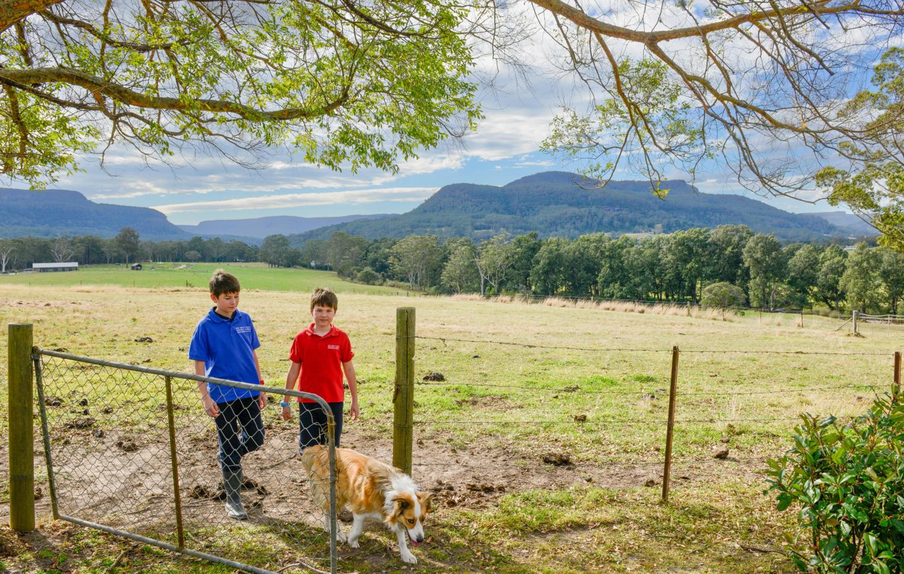 The Big Bell Farm