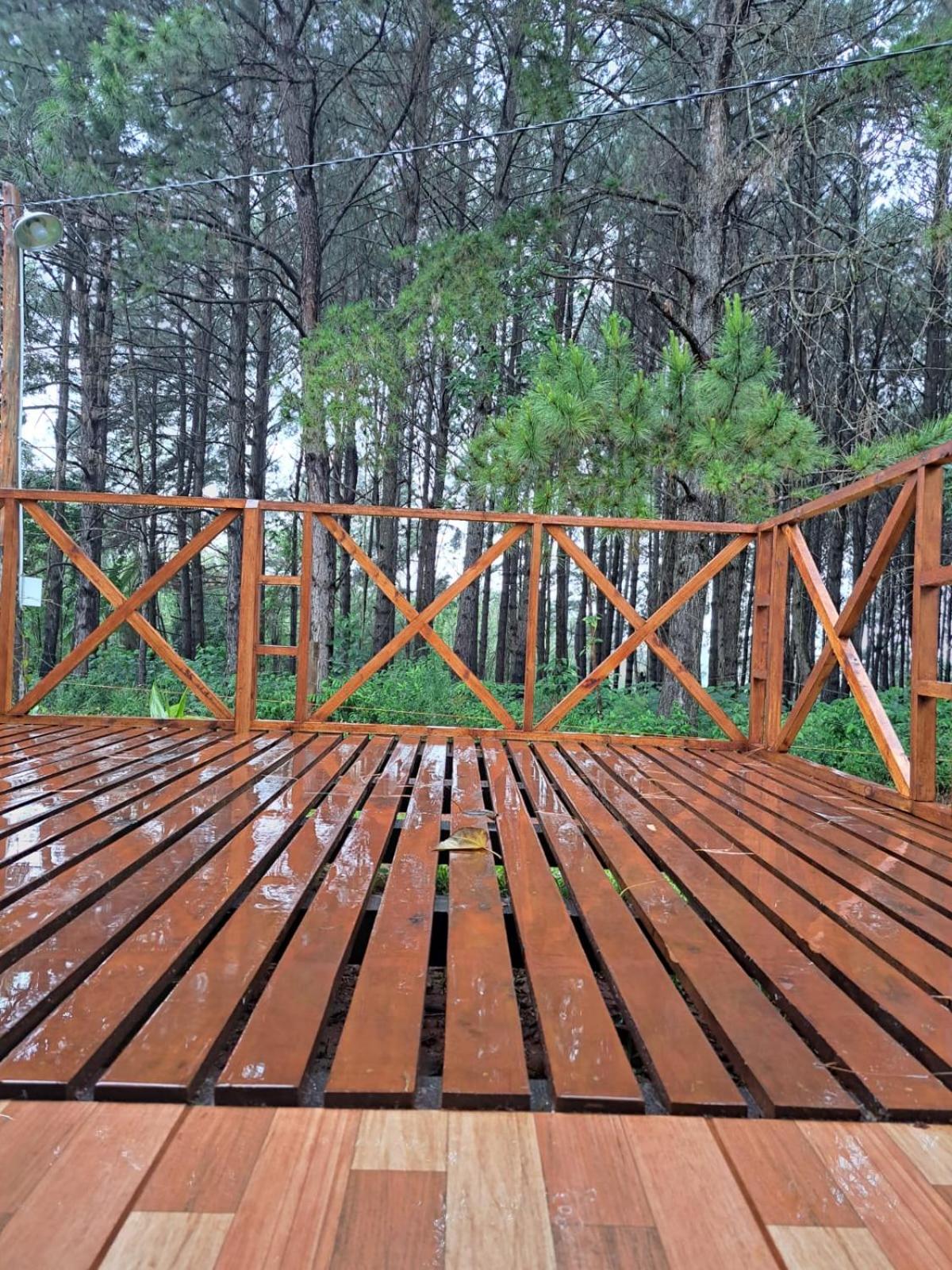 Cabañas Libertad en Misiones