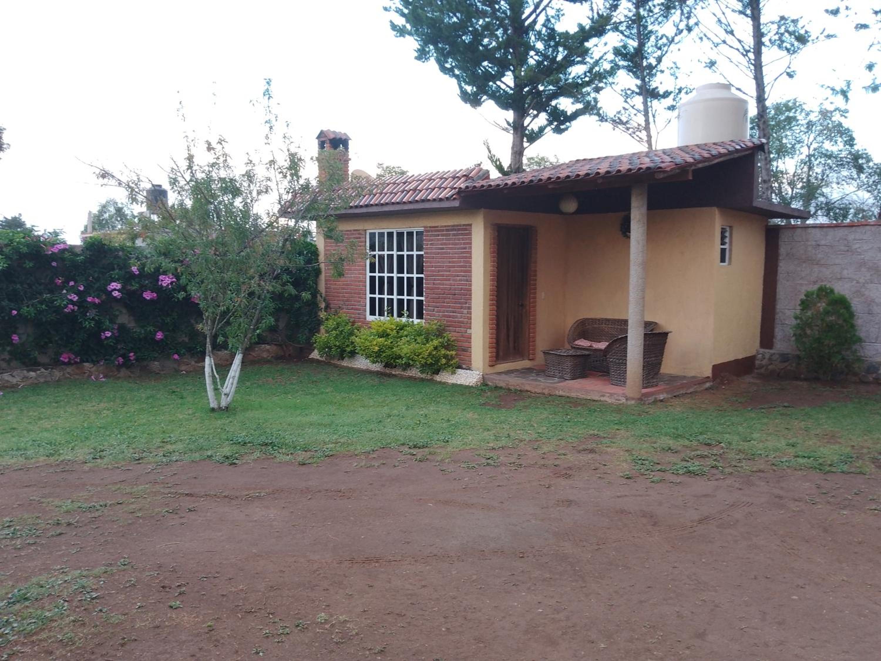 Photo 21