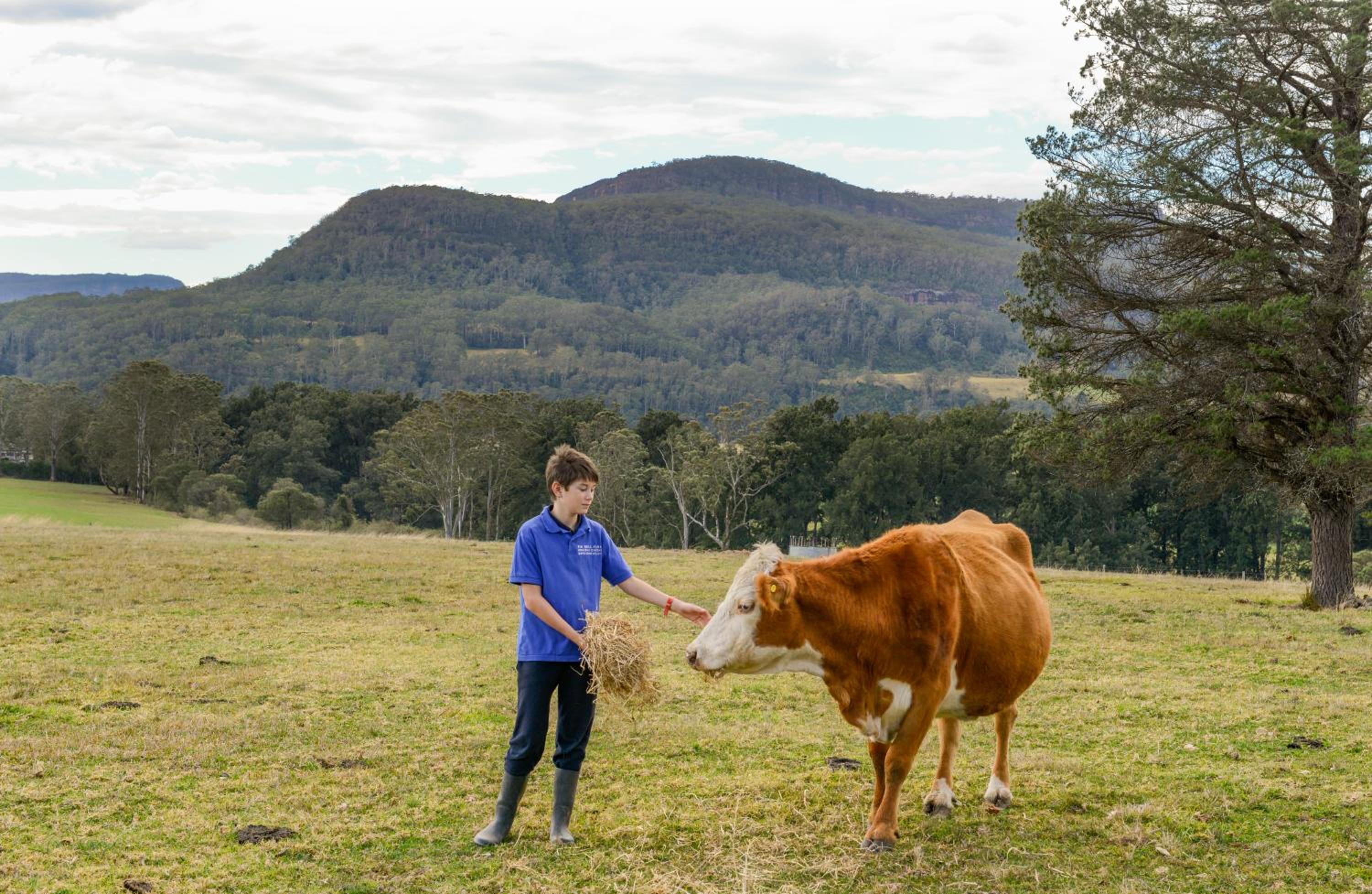 The Big Bell Farm