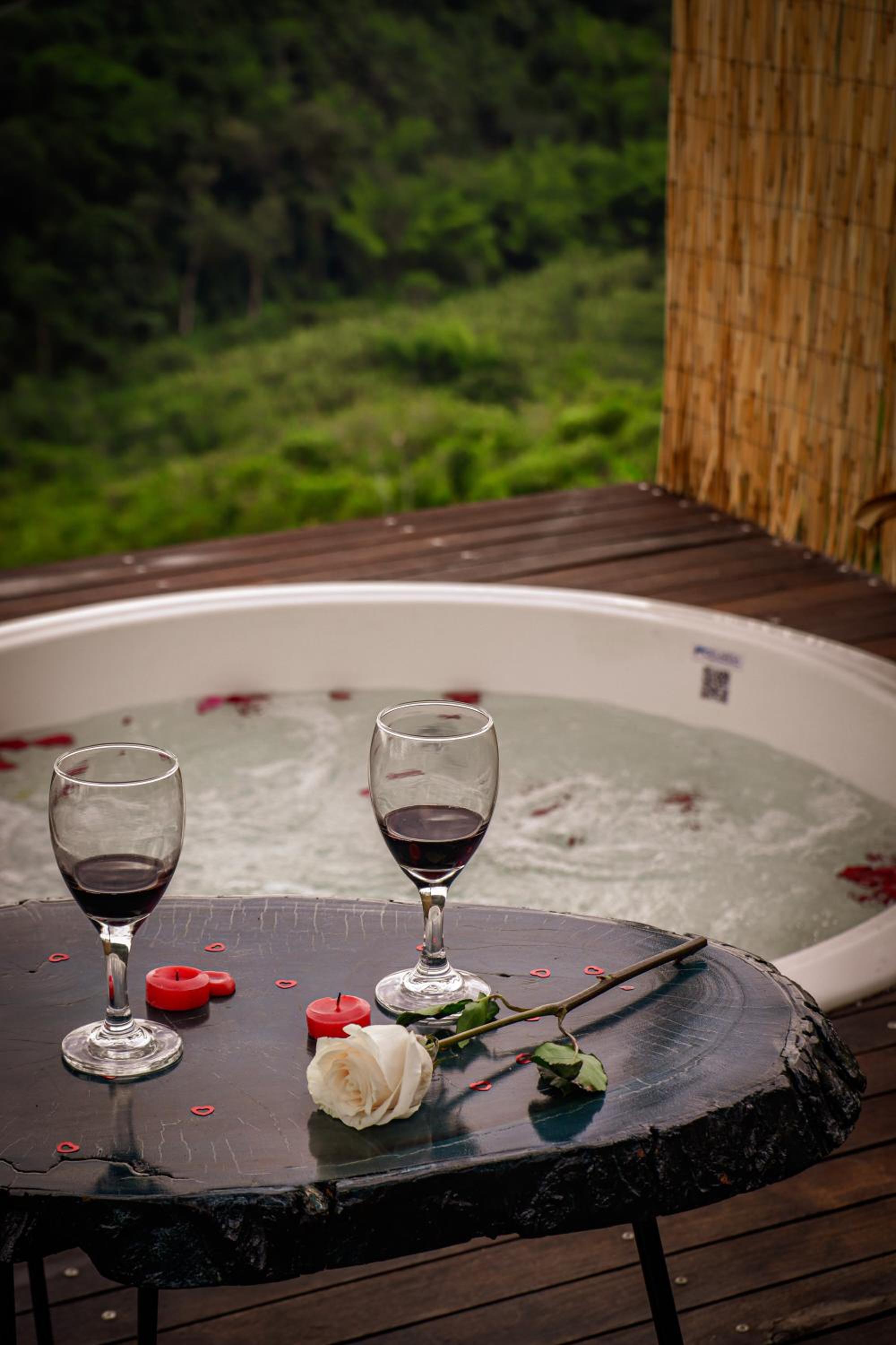 Happy Glamping Quindio - Tipo Domo Traslúcido