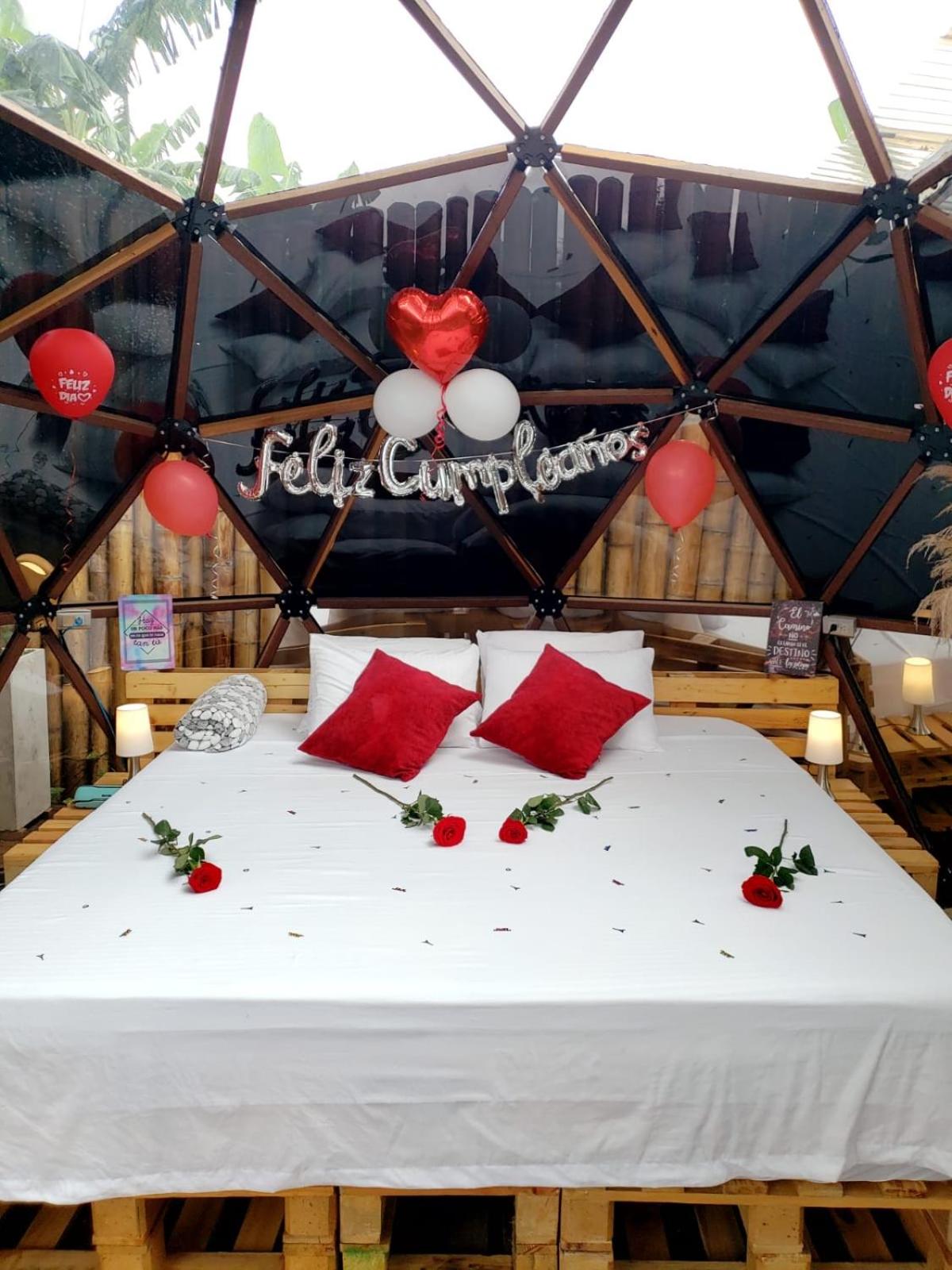 Happy Glamping Quindio - Tipo Domo Traslúcido