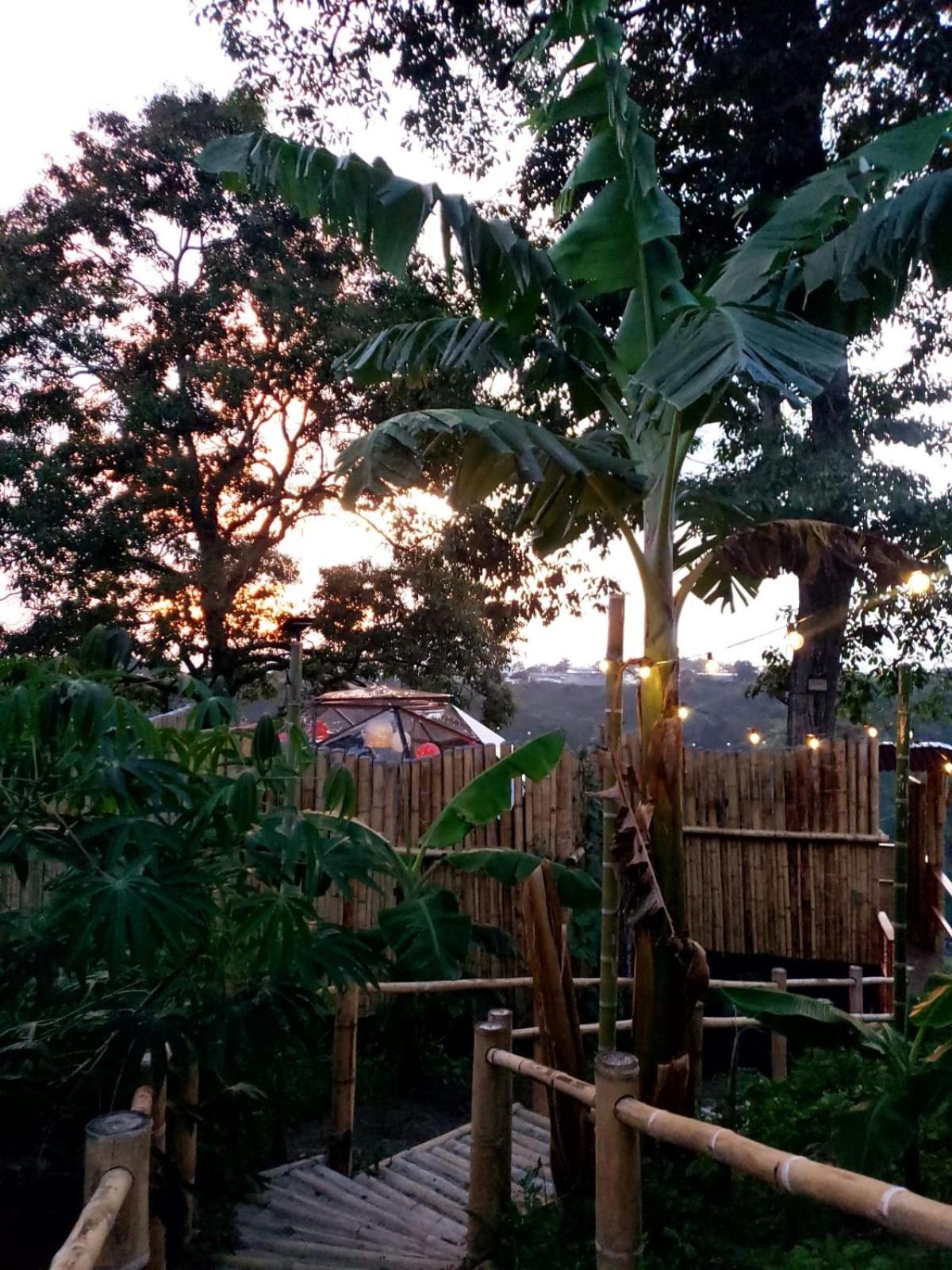 Happy Glamping Quindio - Tipo Domo Traslúcido