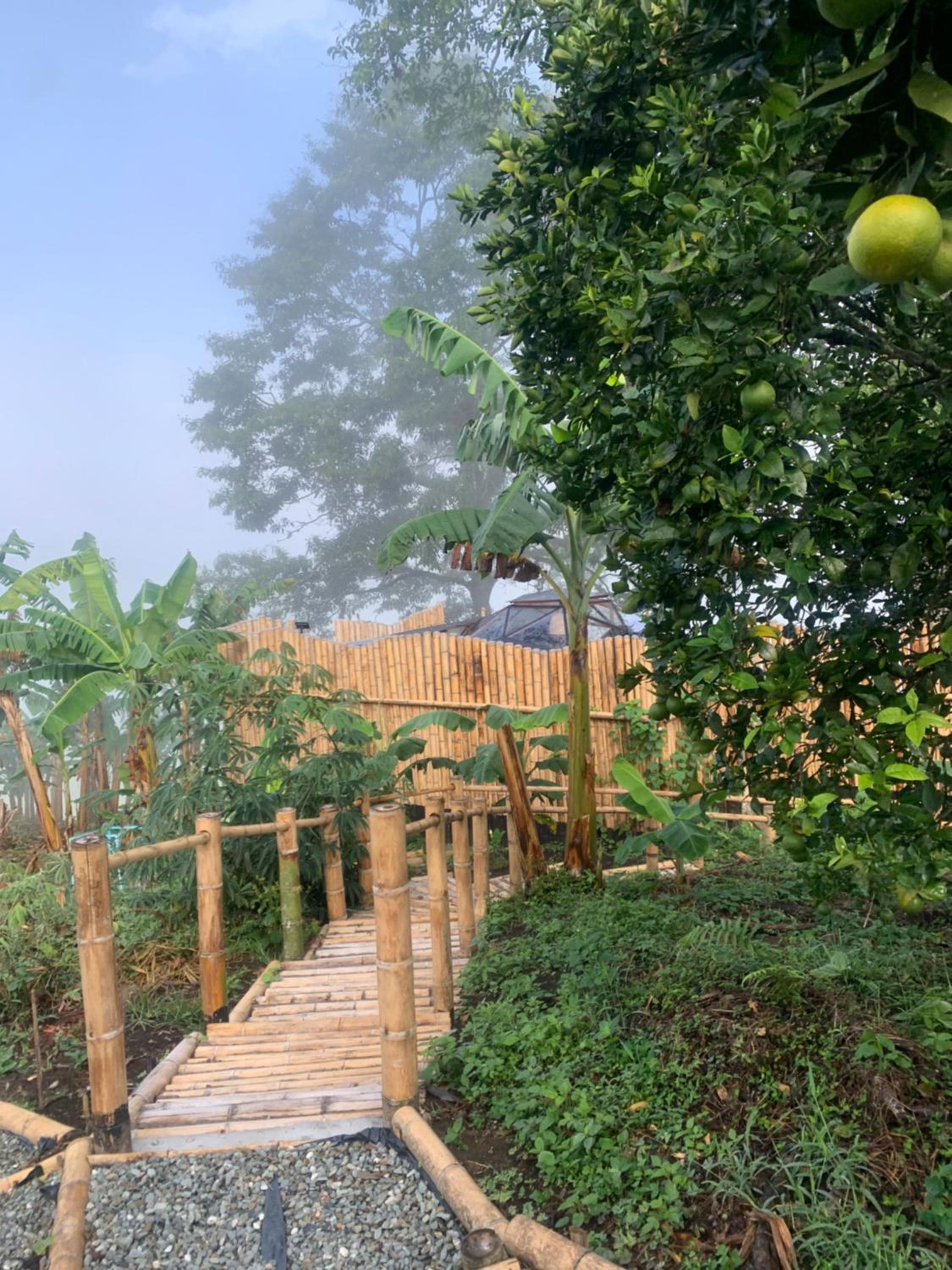 Happy Glamping Quindio - Tipo Domo Traslúcido