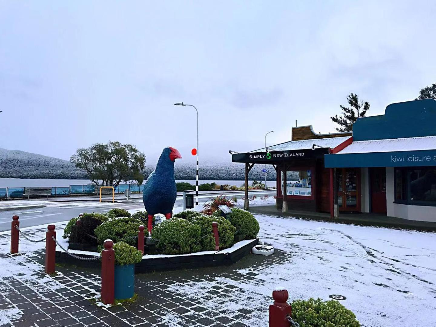 Amber Court Motel — photo 39