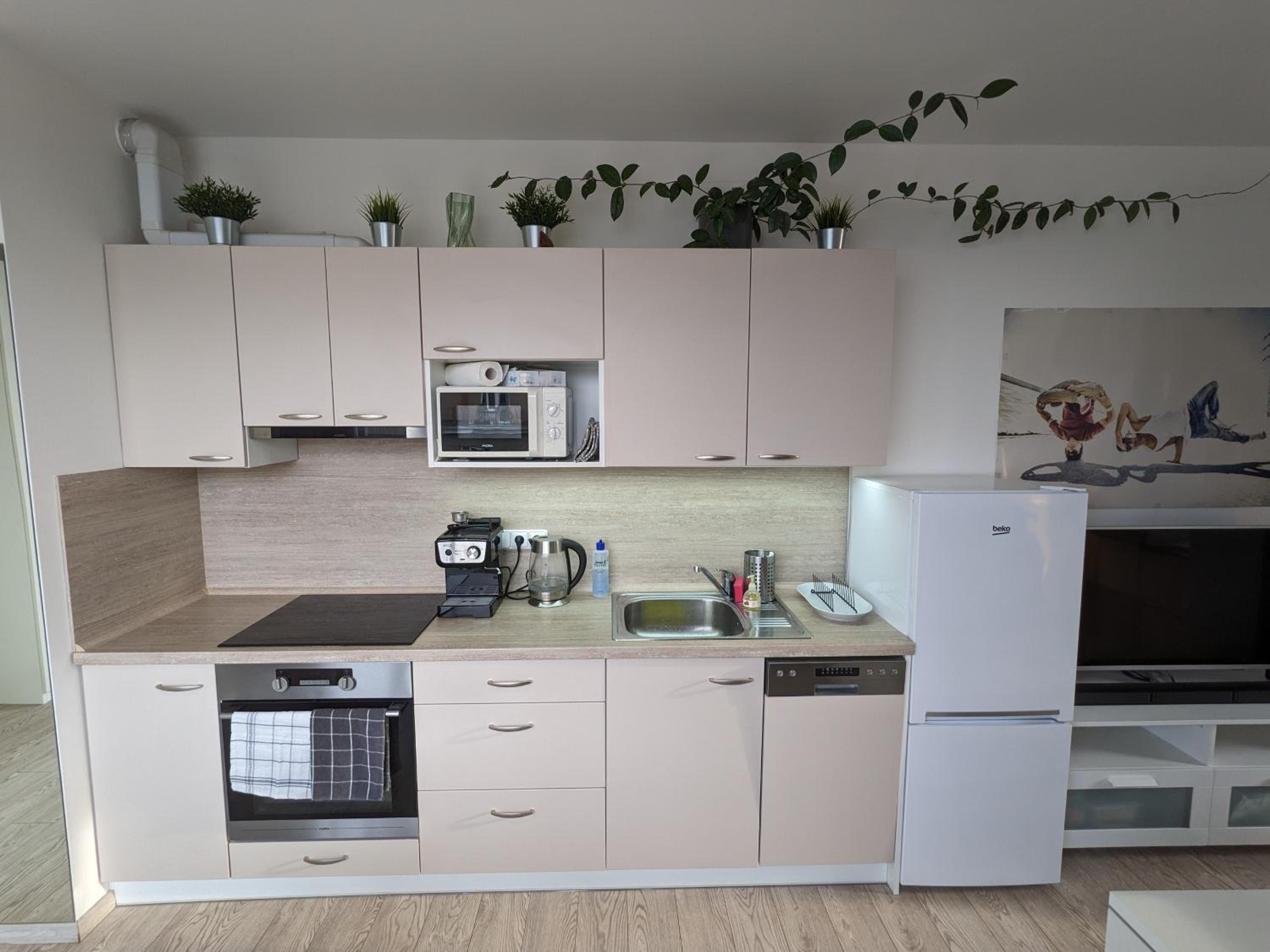 Cozy Apartment with Big Terrace in Central Prague - Karlín