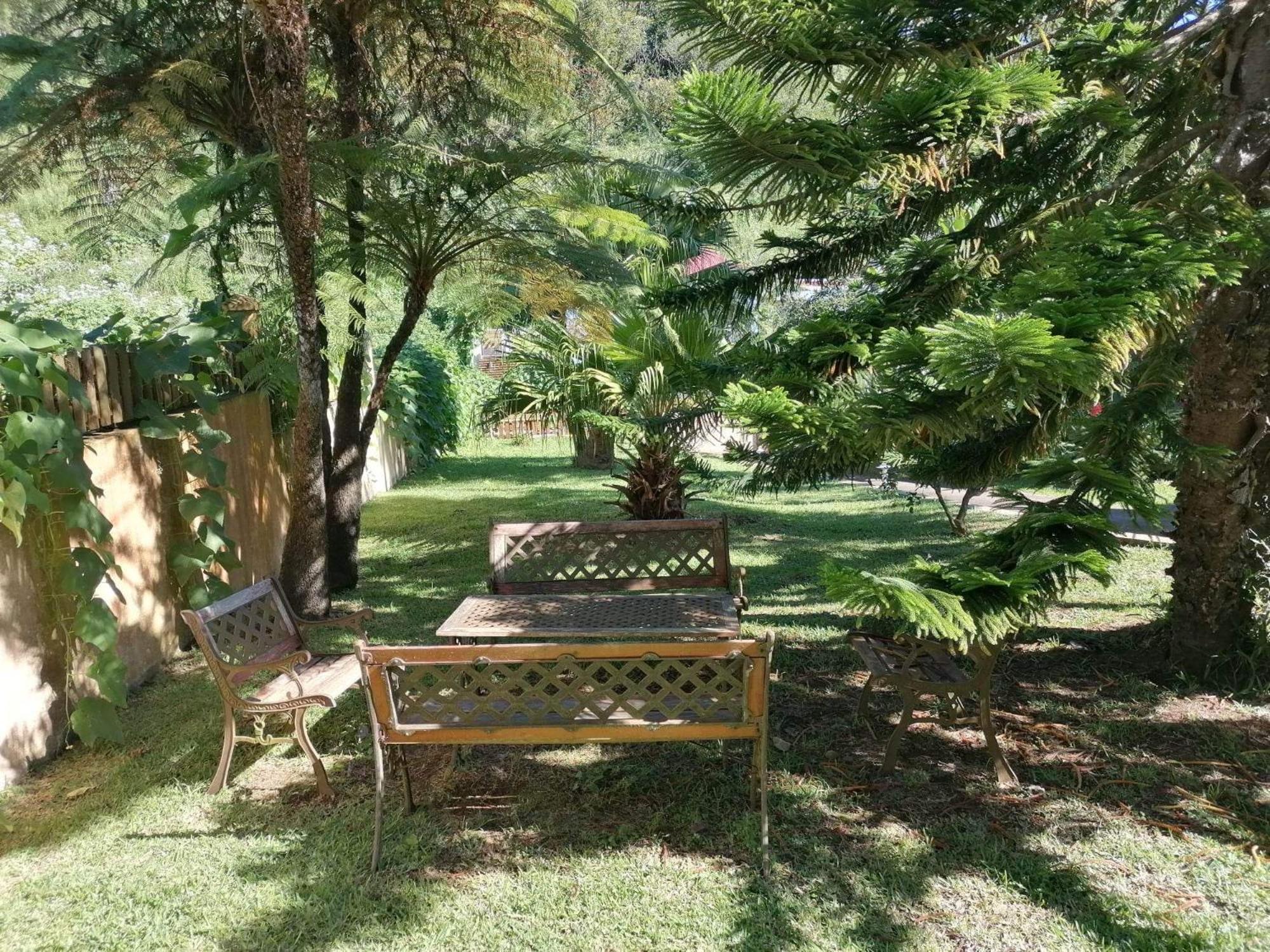 Photo 46