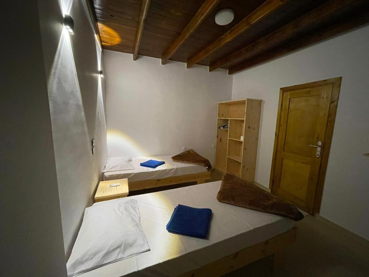 Dolphin Camp