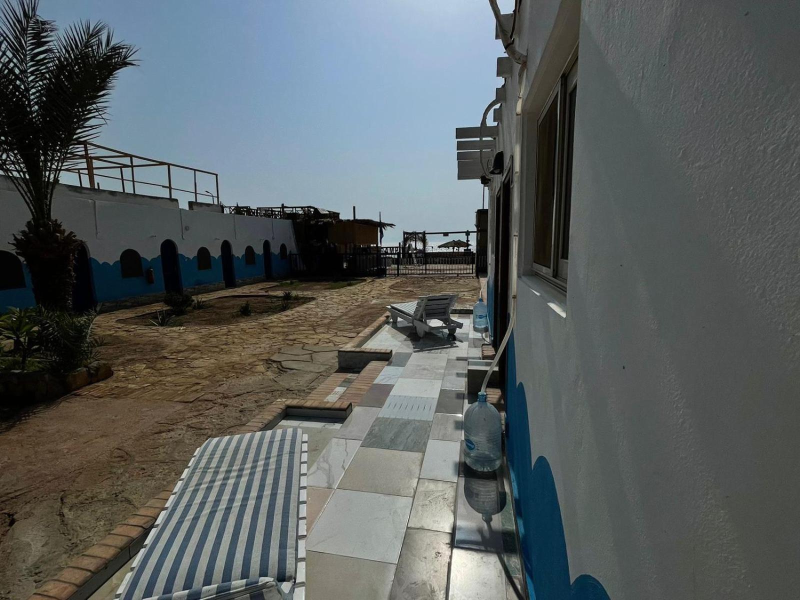 Dolphin Camp