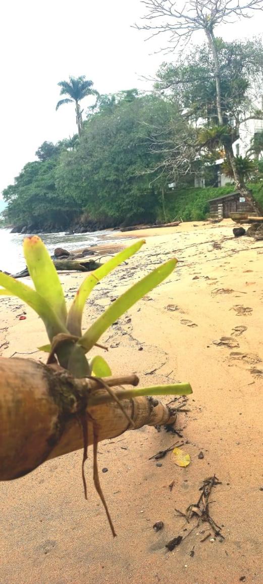Apartamento Ubatuba Vista para o Mar