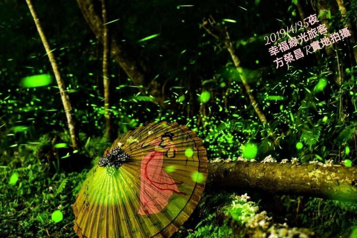 Photo 47