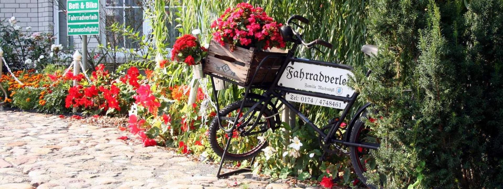 Ferienwohnungen Machnitzki