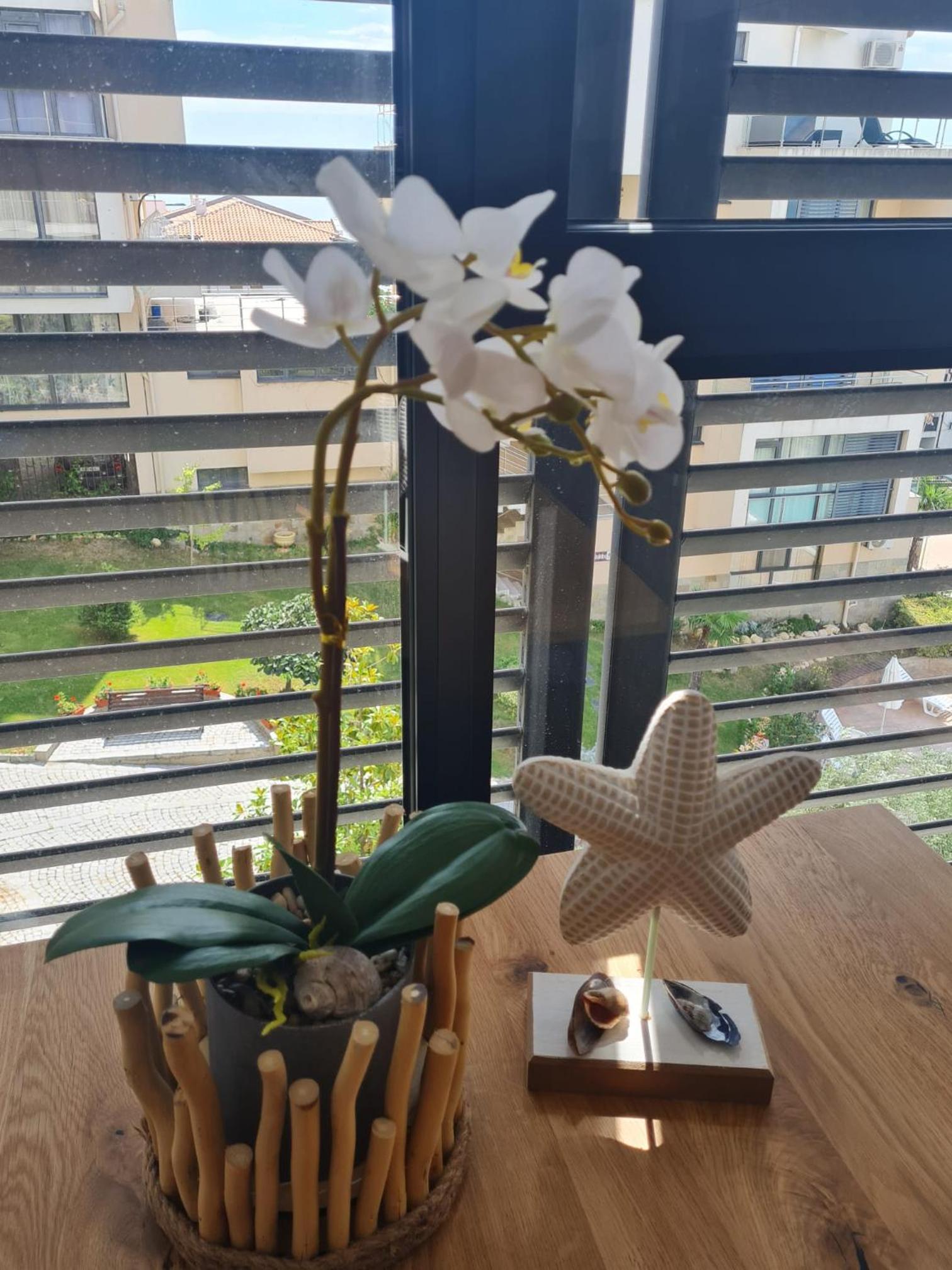 Dolce Vita 2, Appartement