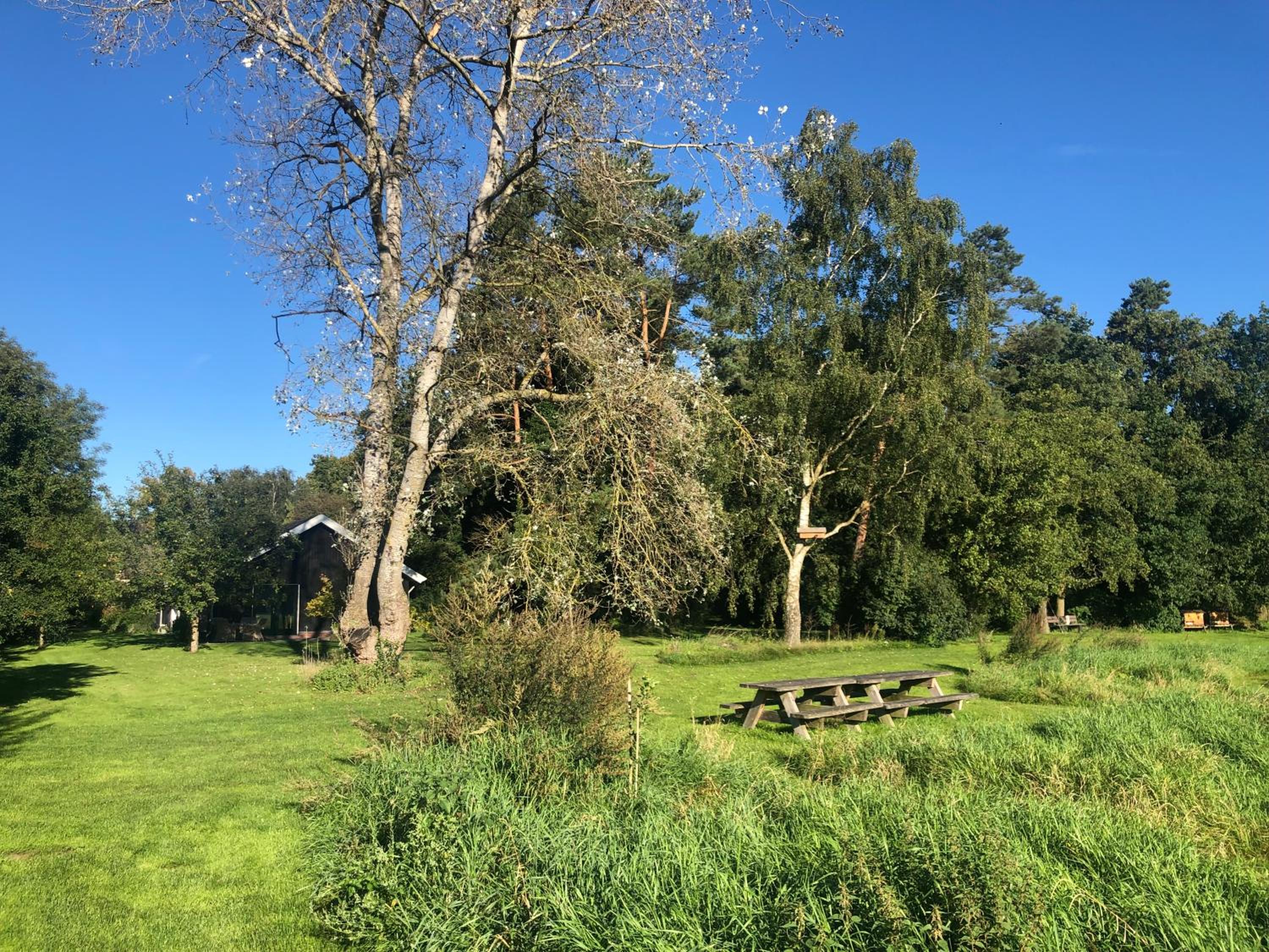 IJsselgoud