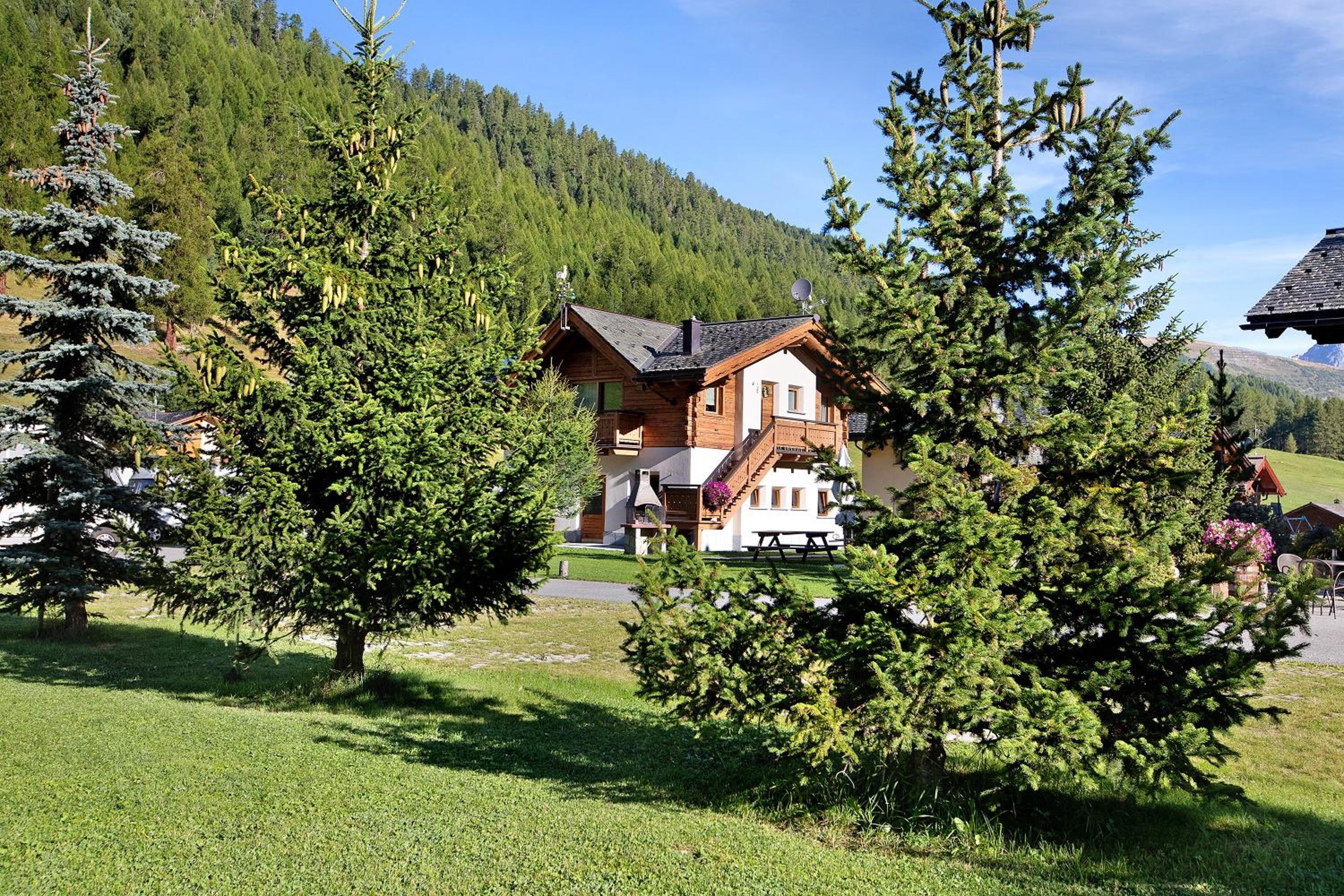 Photo 22