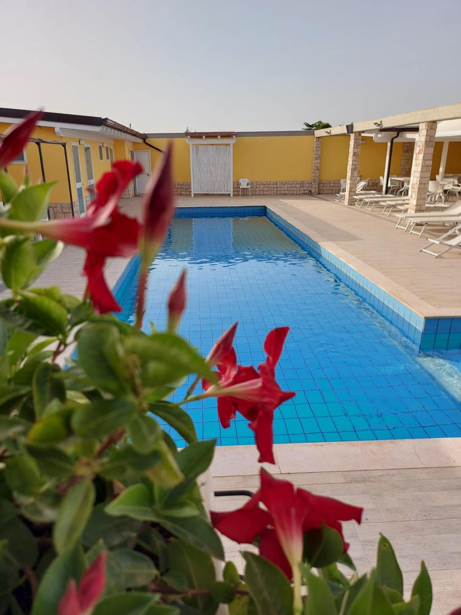 B&B FreeZone en Modugno — recepcion & lobby