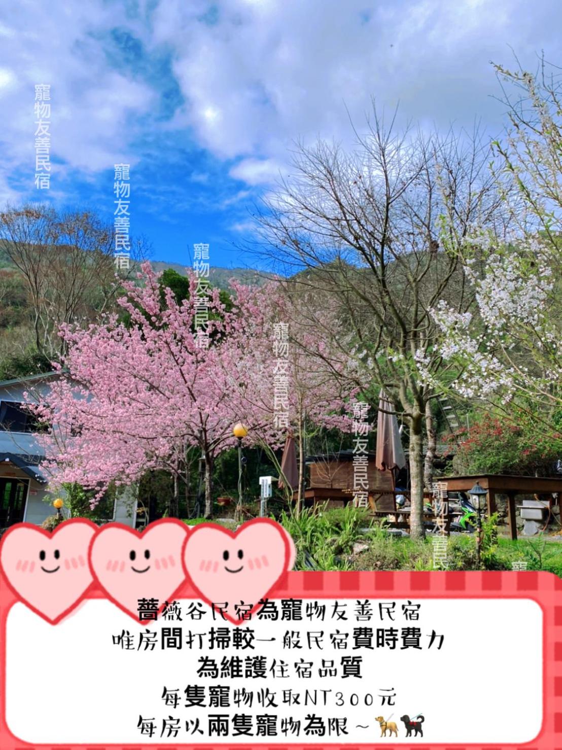 薔薇谷 民宿字108號 view 4