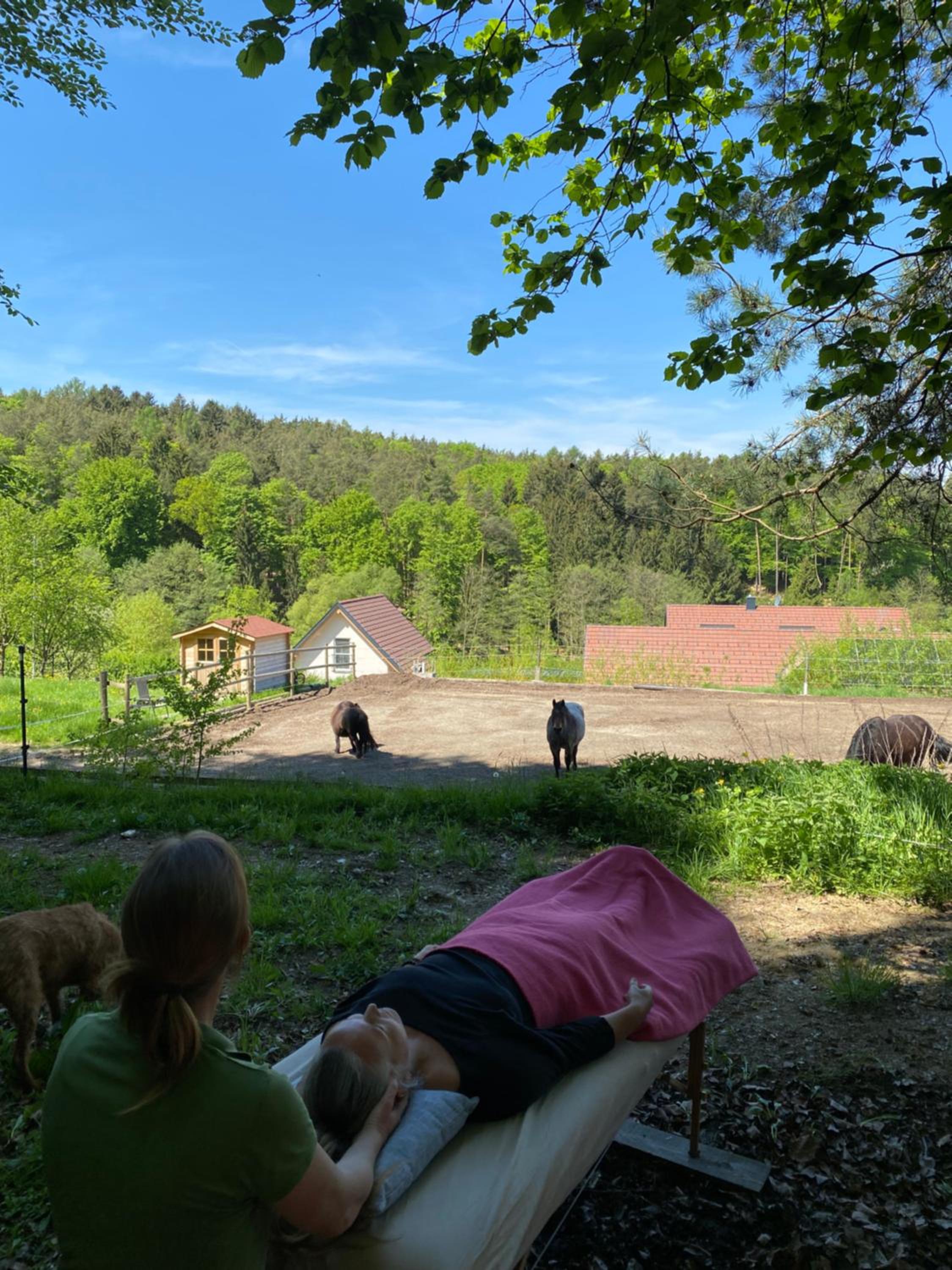 Kellerstöckl am Gut Kunterbunt