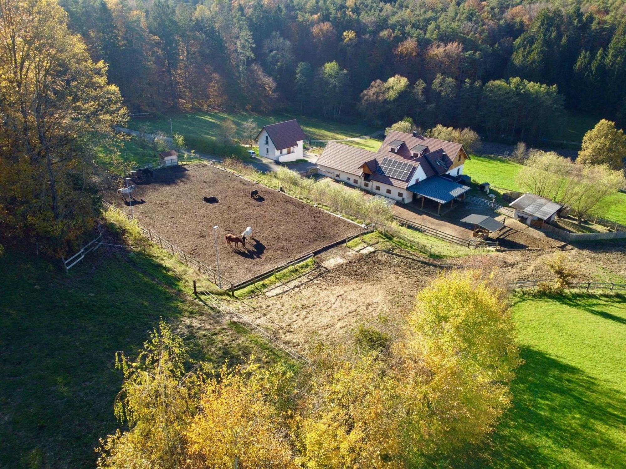 Kellerstöckl am Gut Kunterbunt