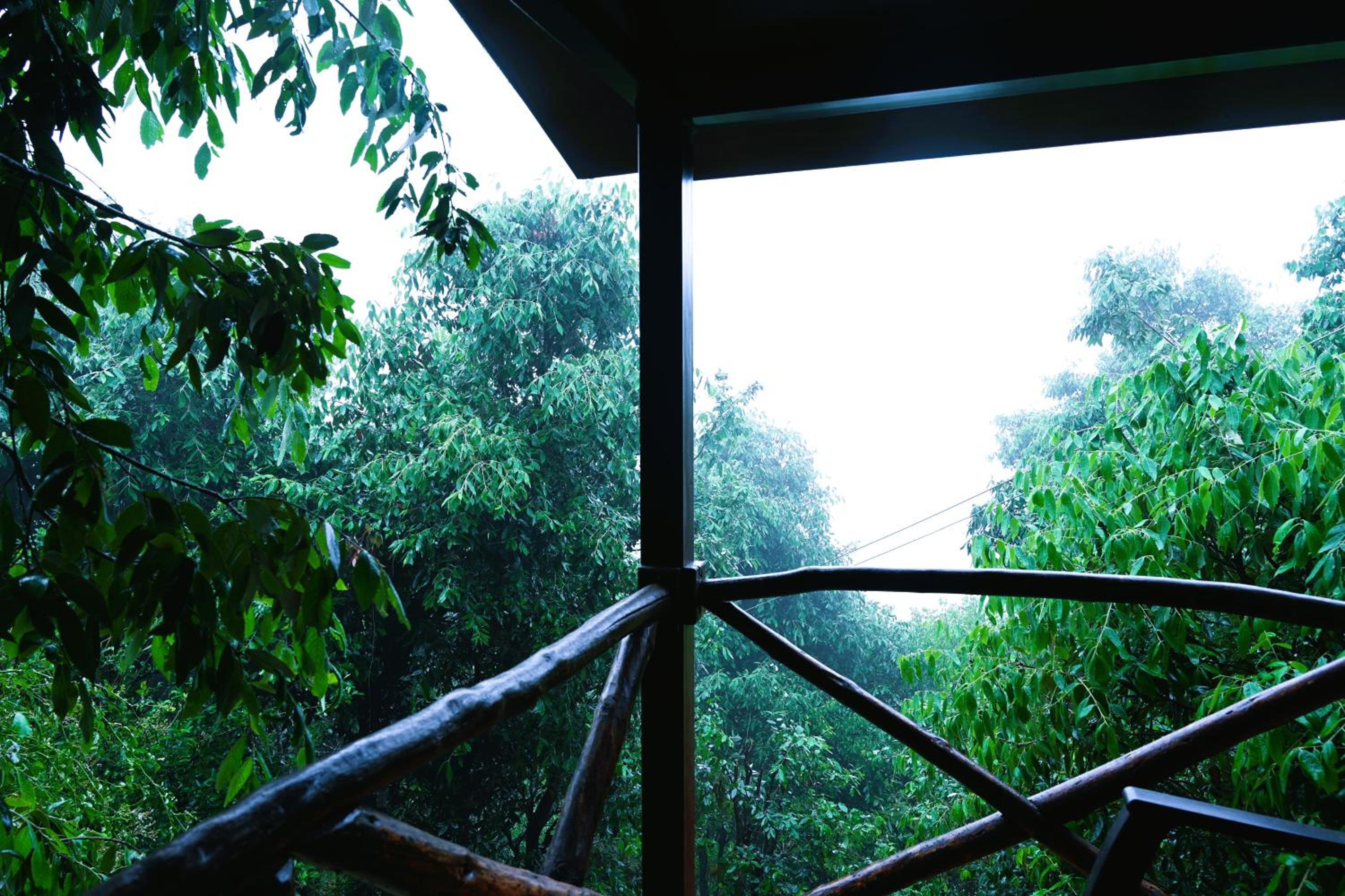 Quiet Place Himalayas
