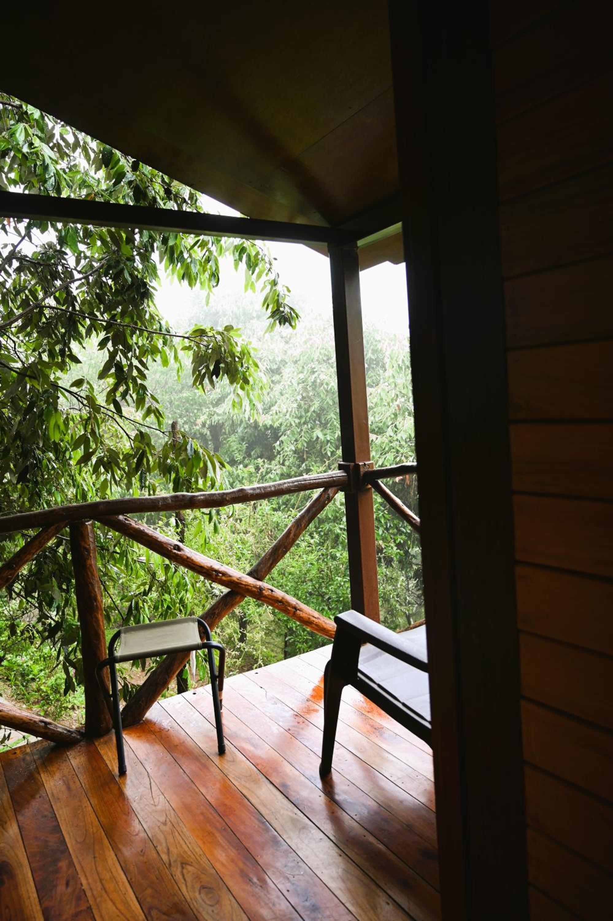 Quiet Place Himalayas