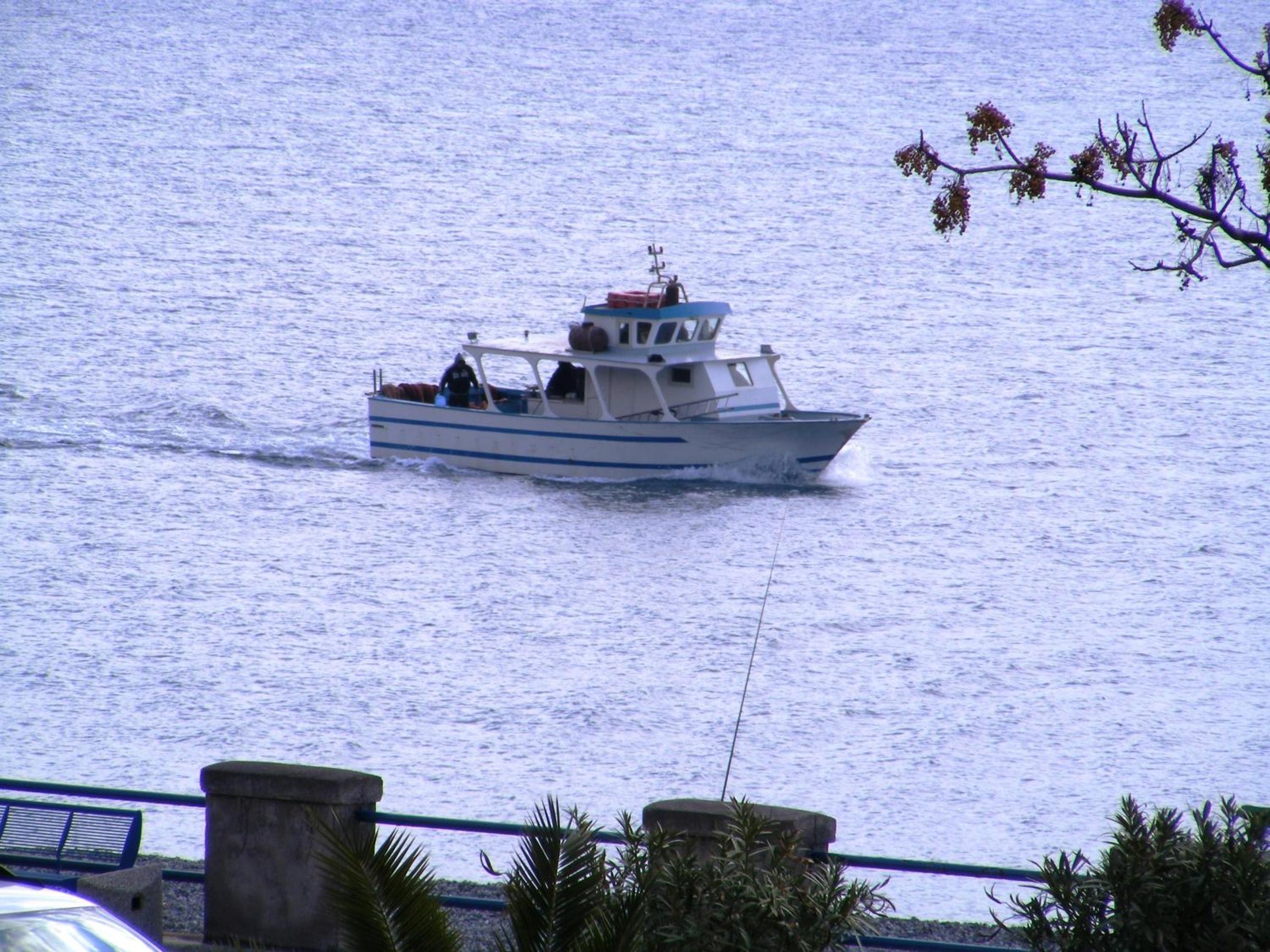 Photo 45