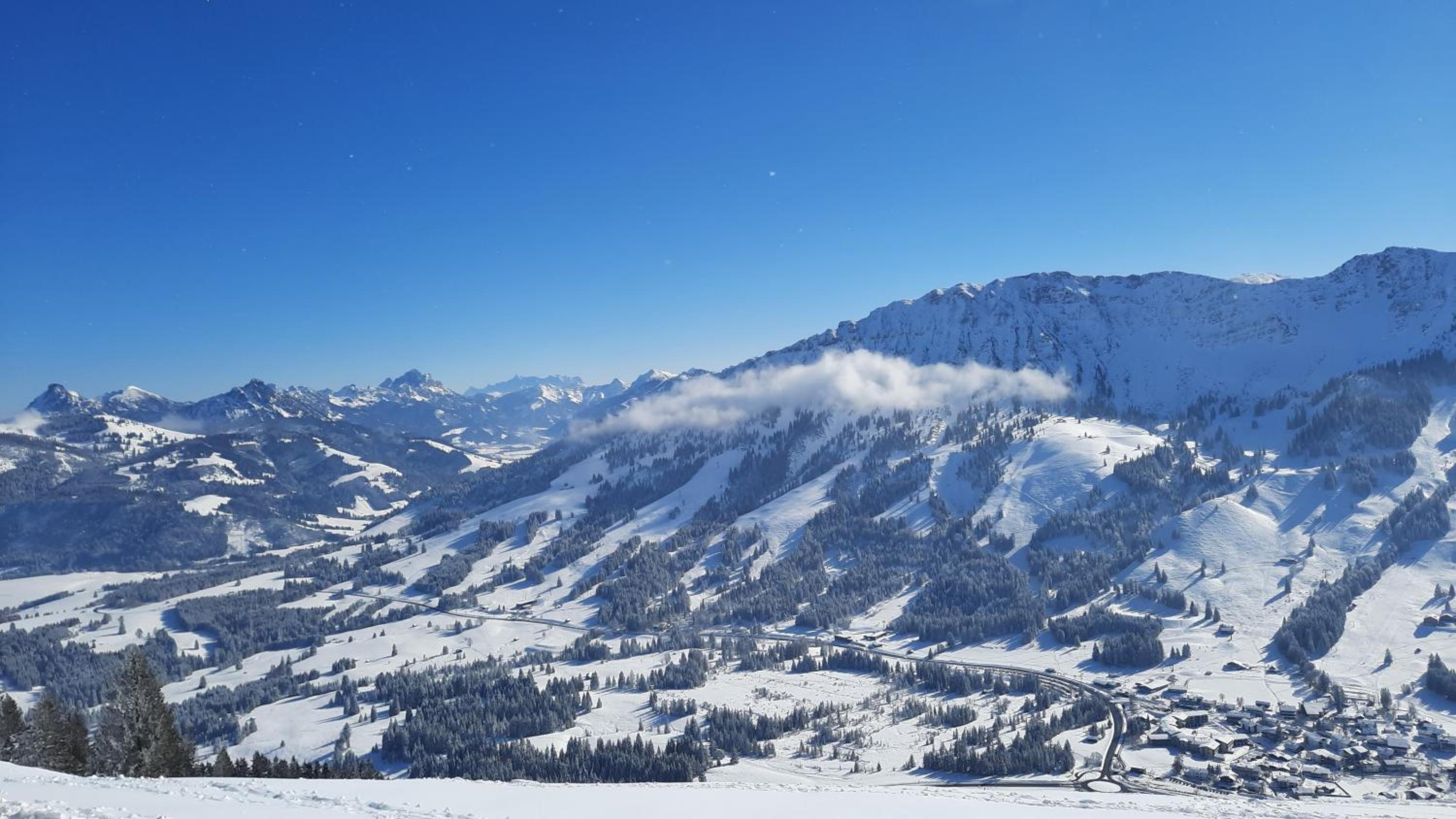 Ferienwohnung Alpenvogel