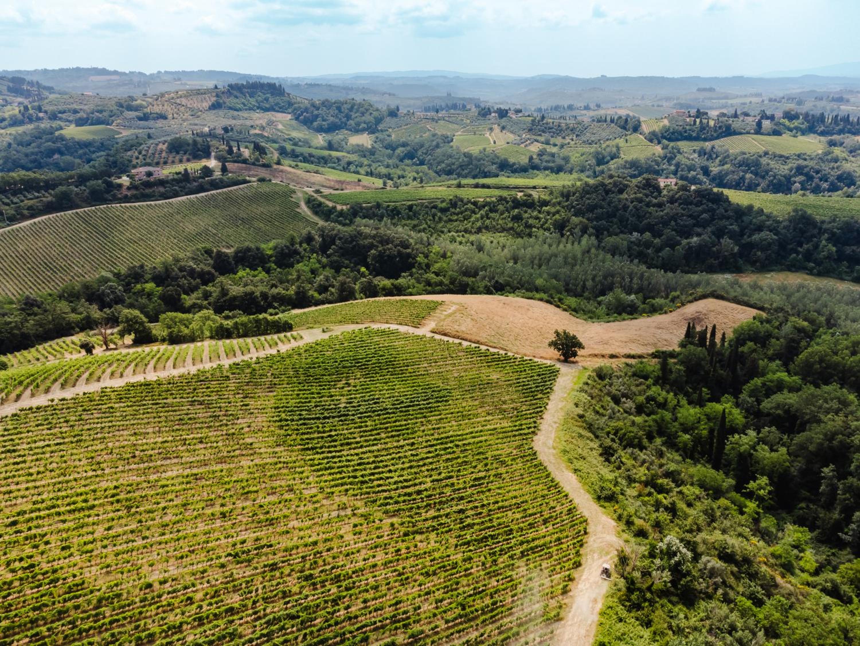 Tognazzi Casa Vacanze - Panoramic Villa