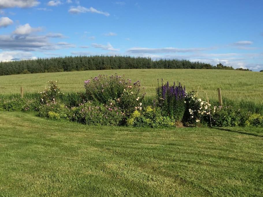 Blackhill Farm Cottage view 3