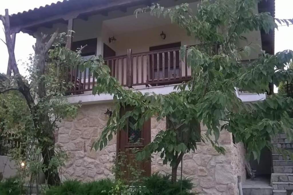 House in the Forest view 3