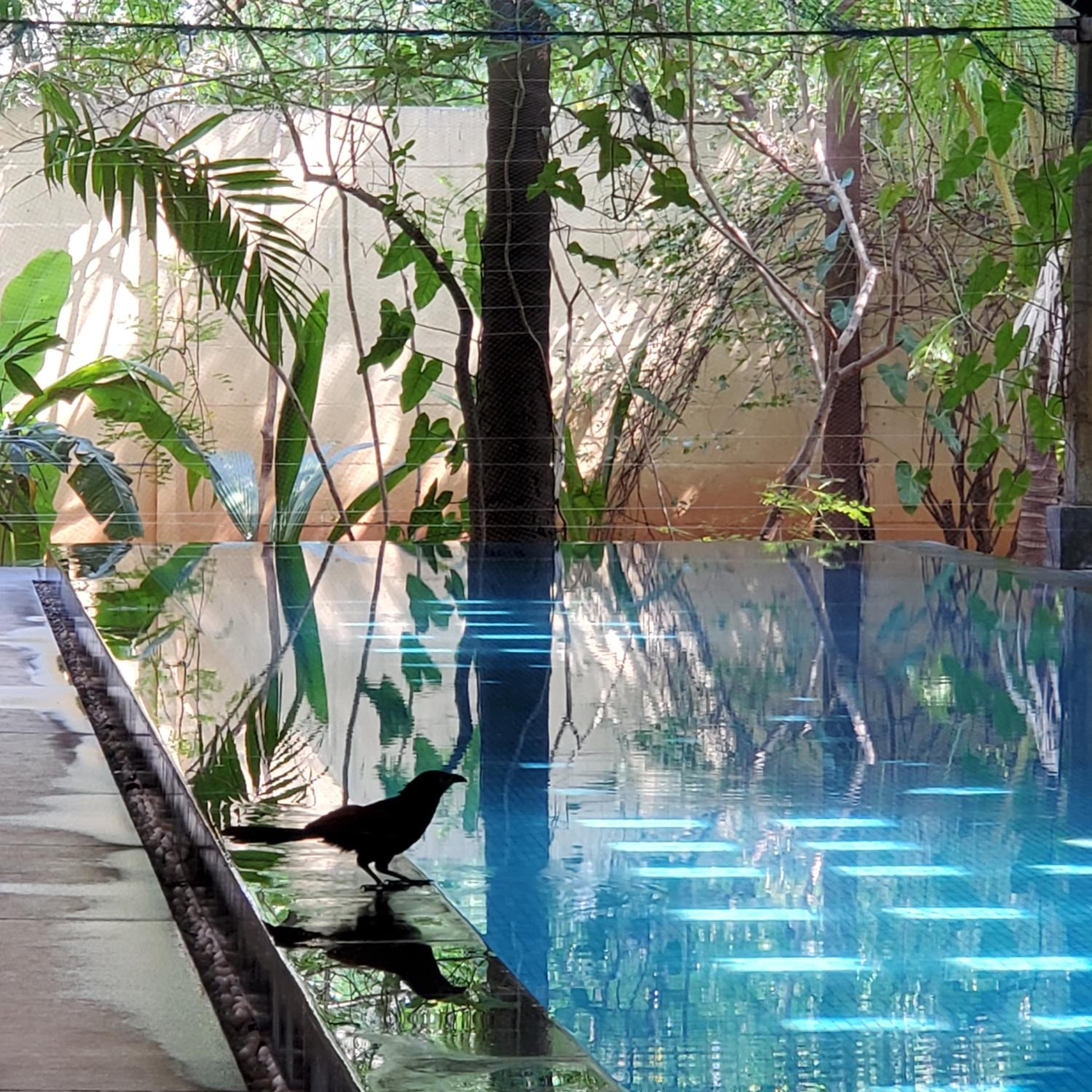 Kariappa House view 4