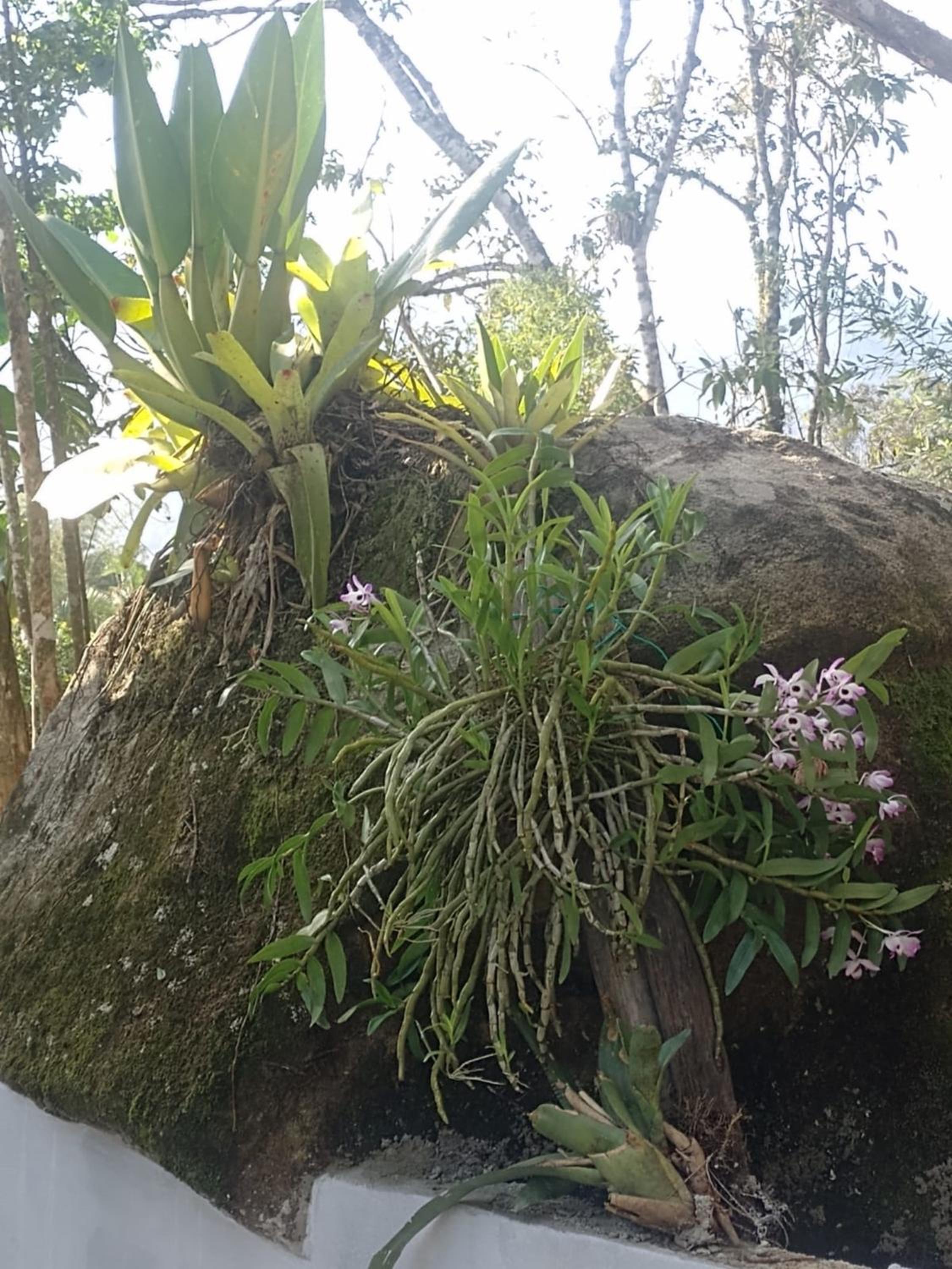Praialar Apartamentos II