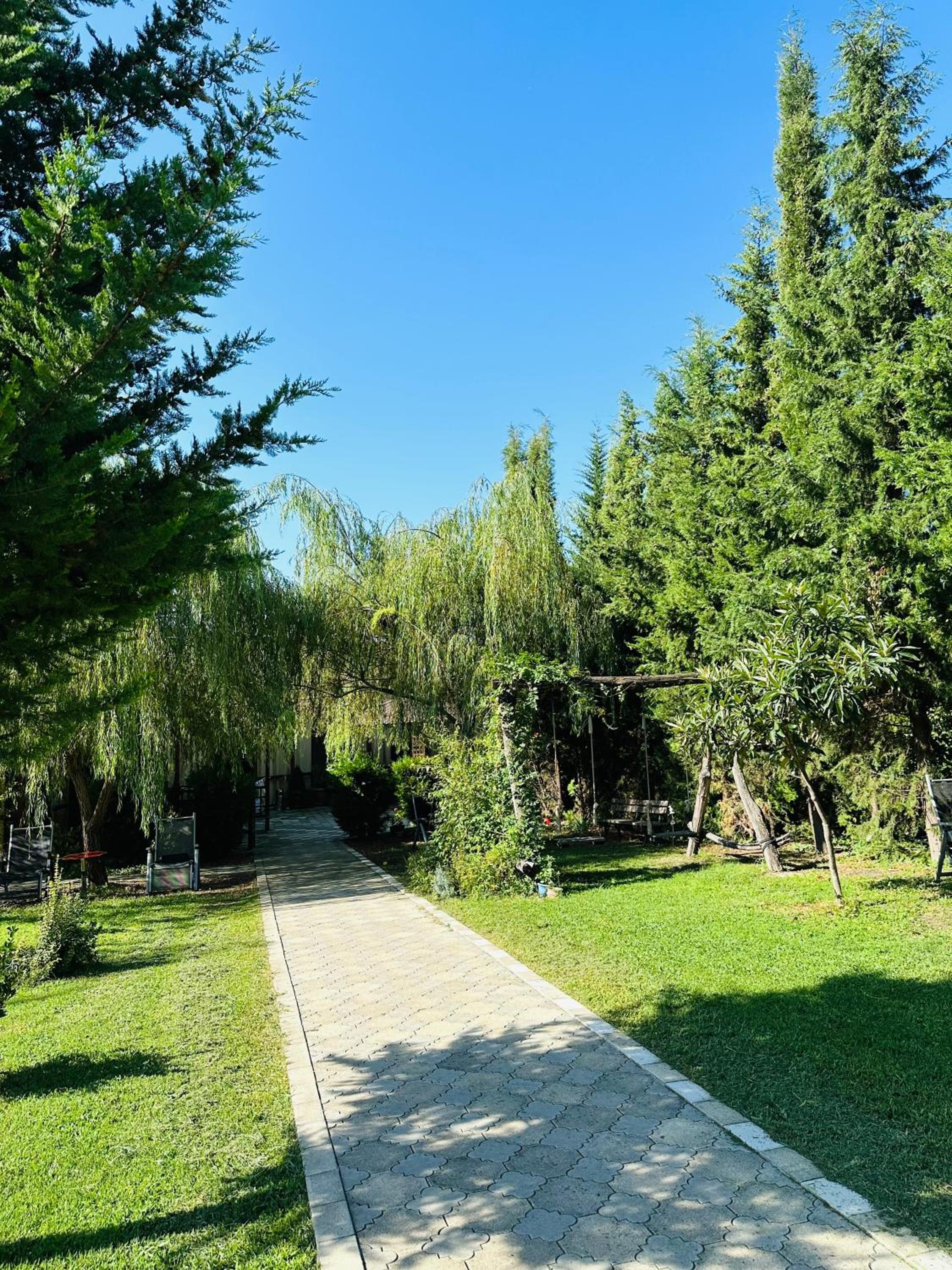 Photo 10