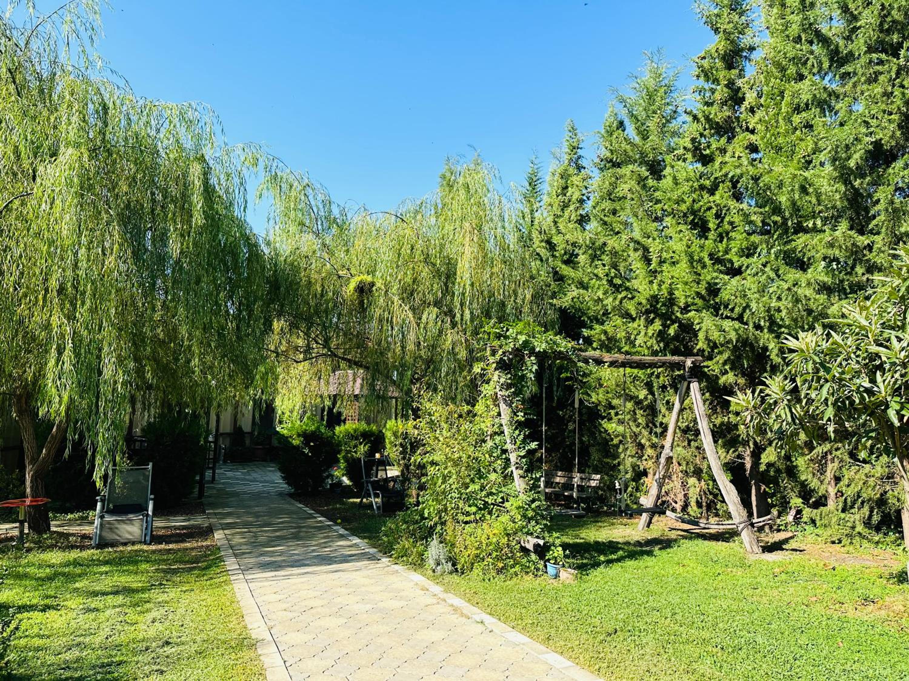 Photo 8