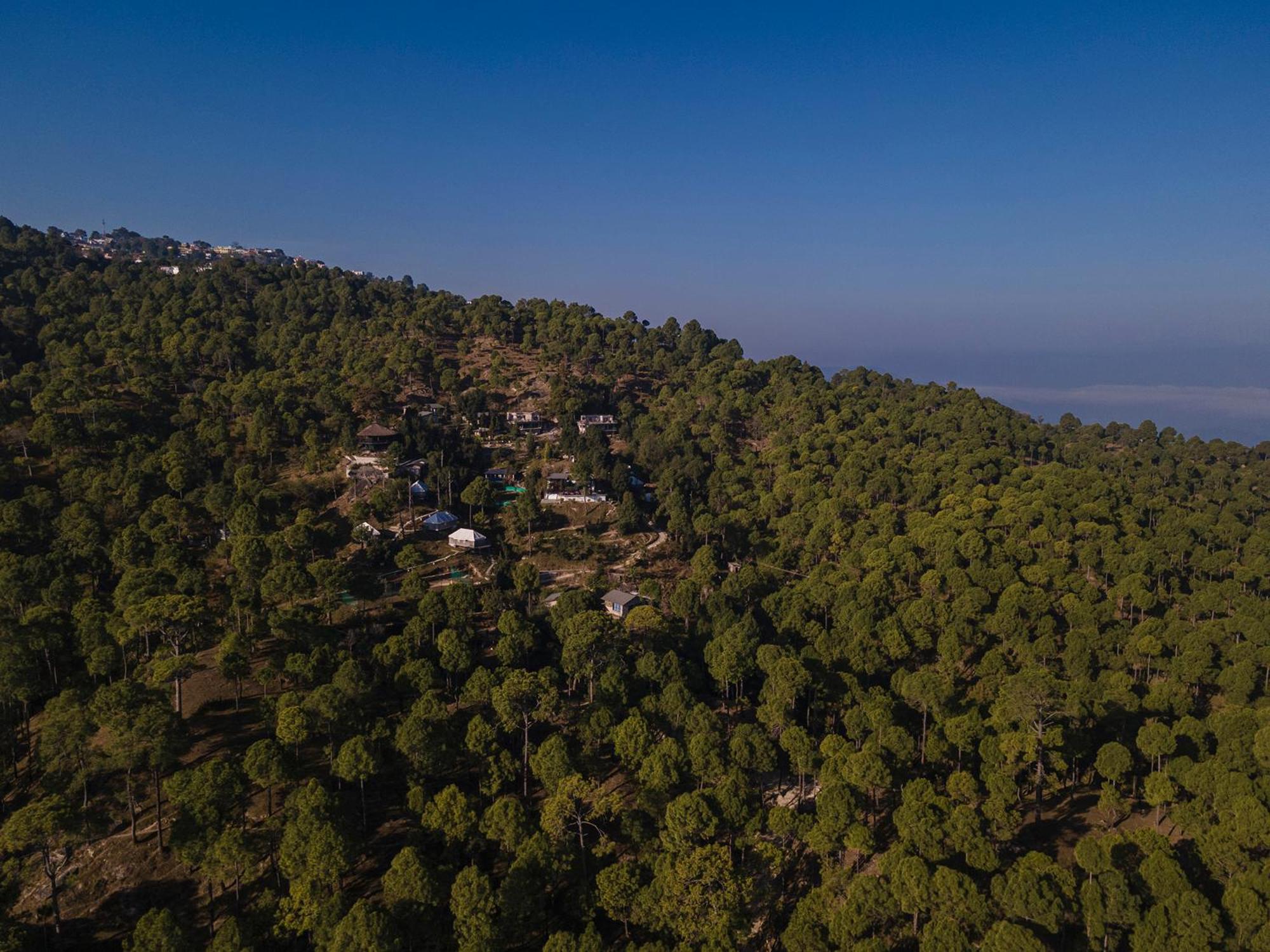 Seed At Queens Meadows, Ranikhet view 3