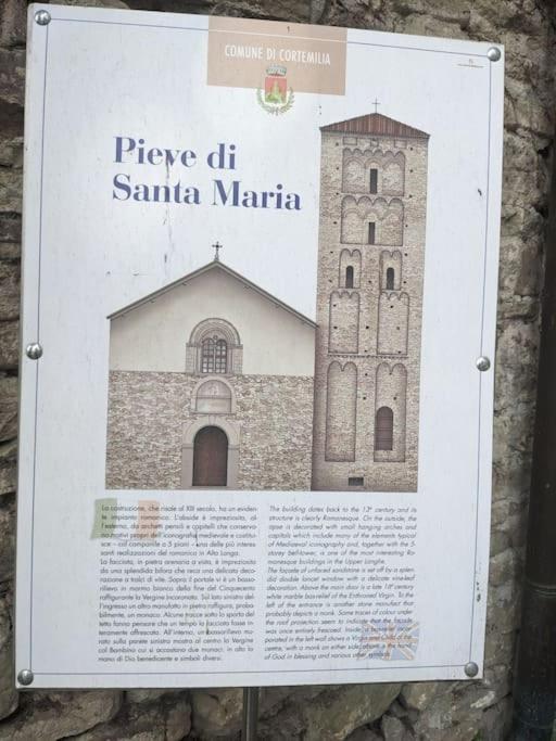 la nocciolina mansarda in centro view 5