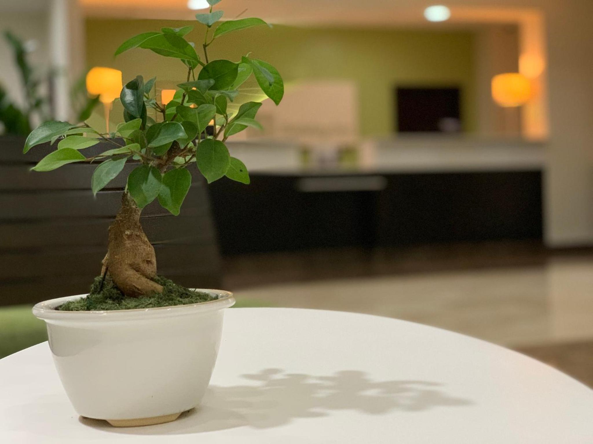 Holiday Inn Mayaguez & Tropical Casino by IHG - Photo 34