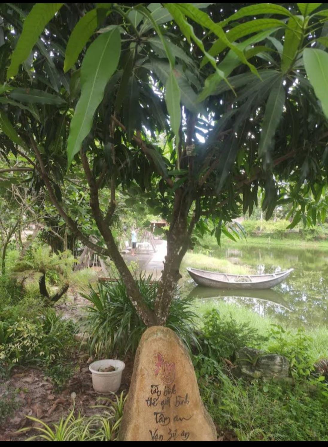 TINA LAKESIDE AO ĐÔI Homestay Phước Hải