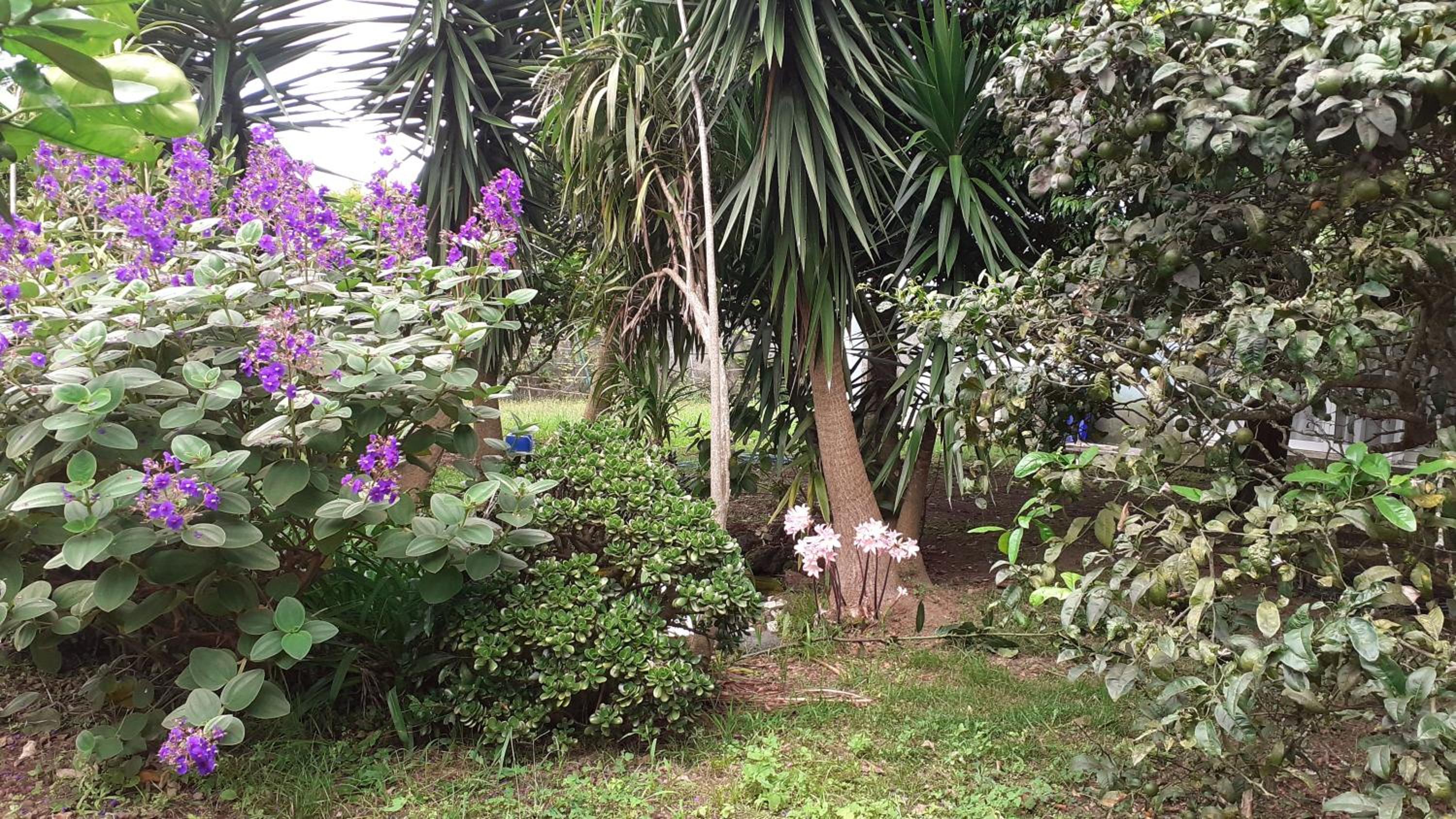 Quinta das rãs view 2