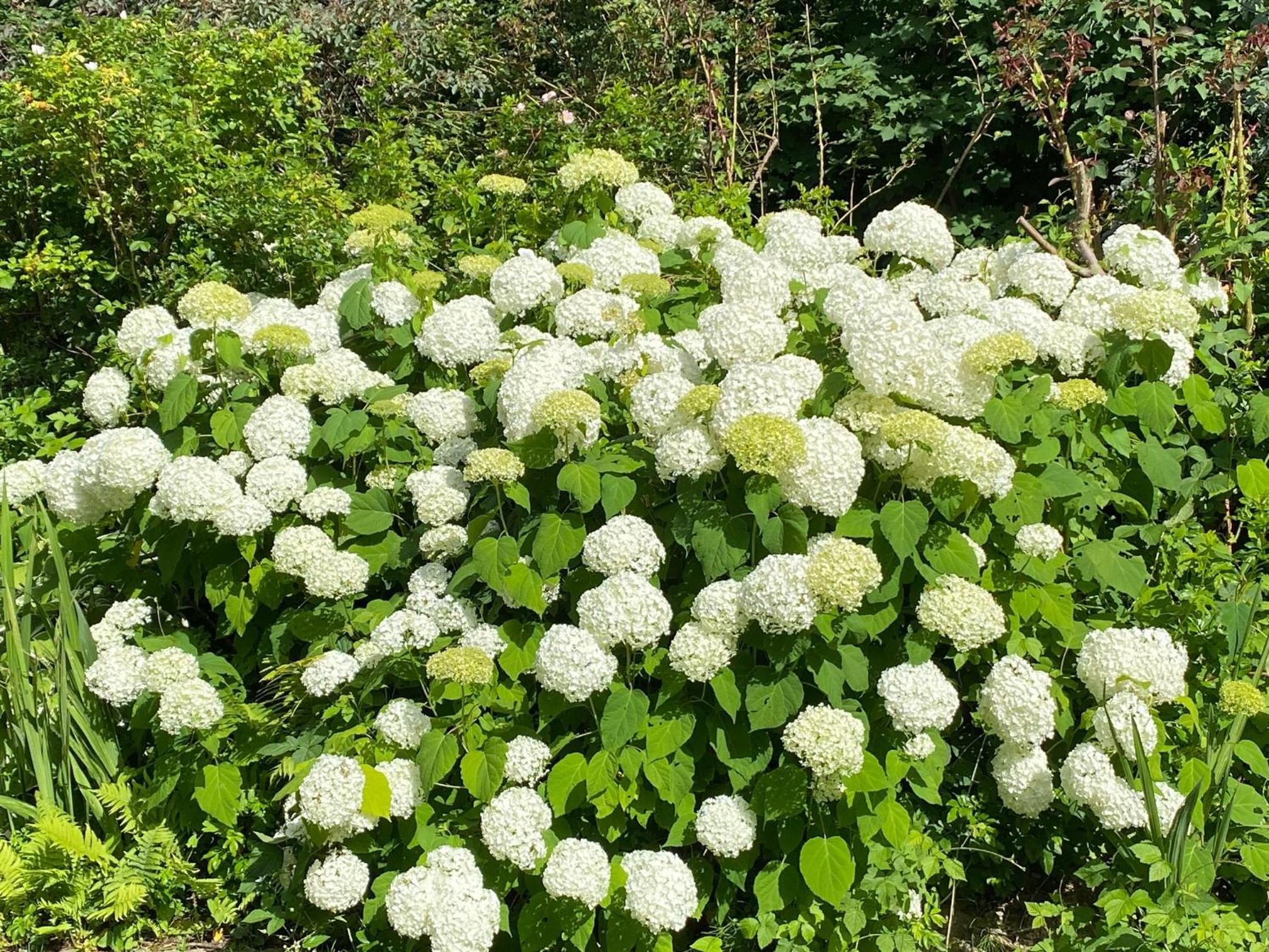 Ferienwohnung Jardin im Kunsthaus