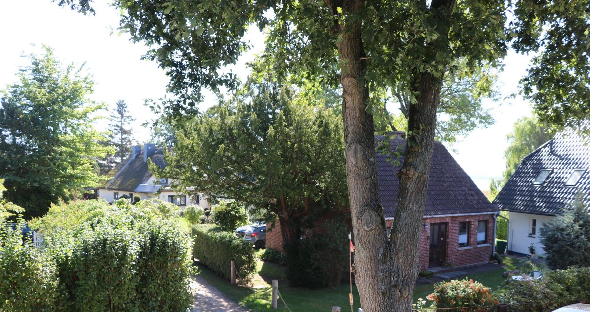 Güner Winkel Grüner Winkel, App 02