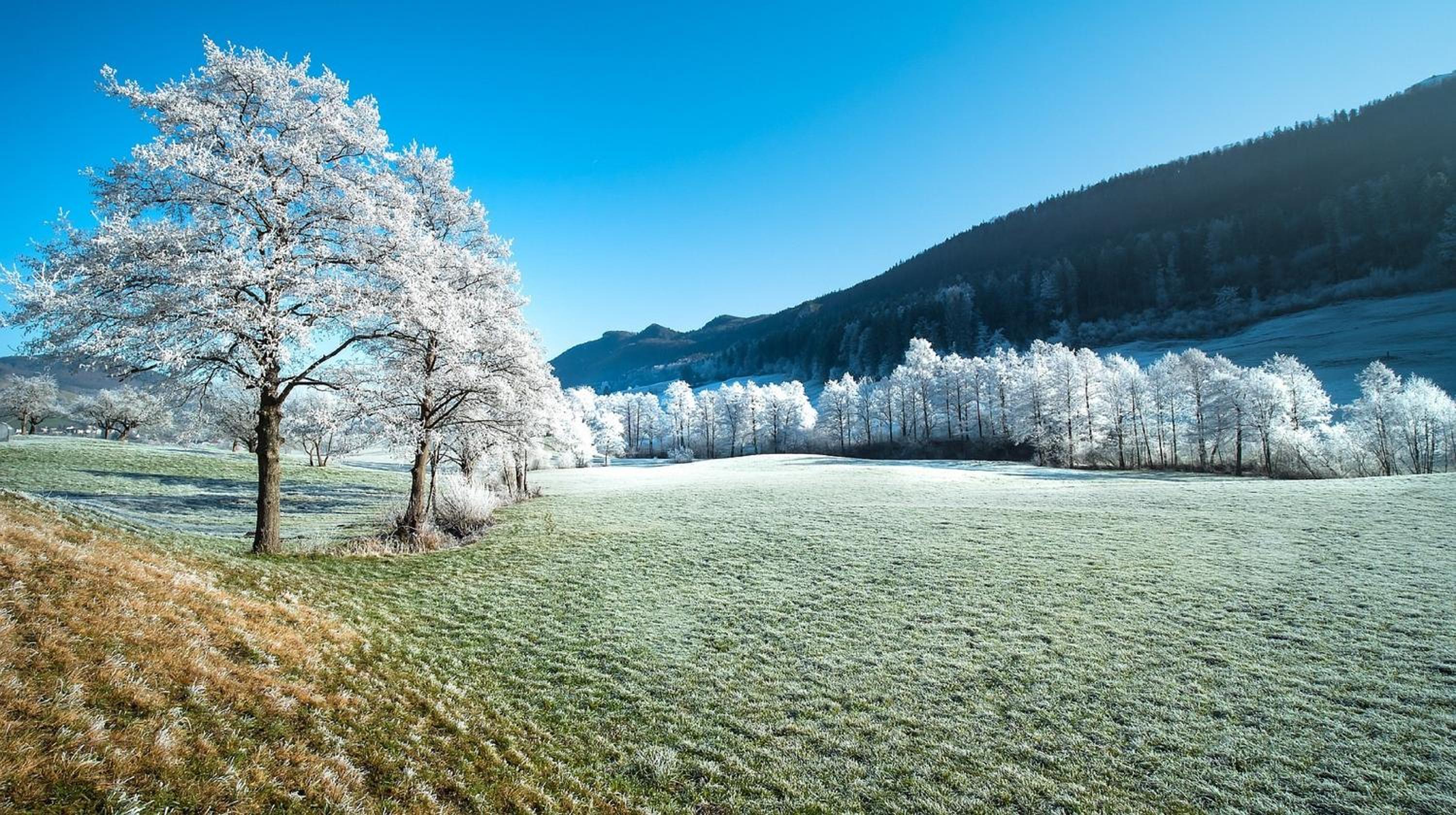 Alpen Appartement Winterberg