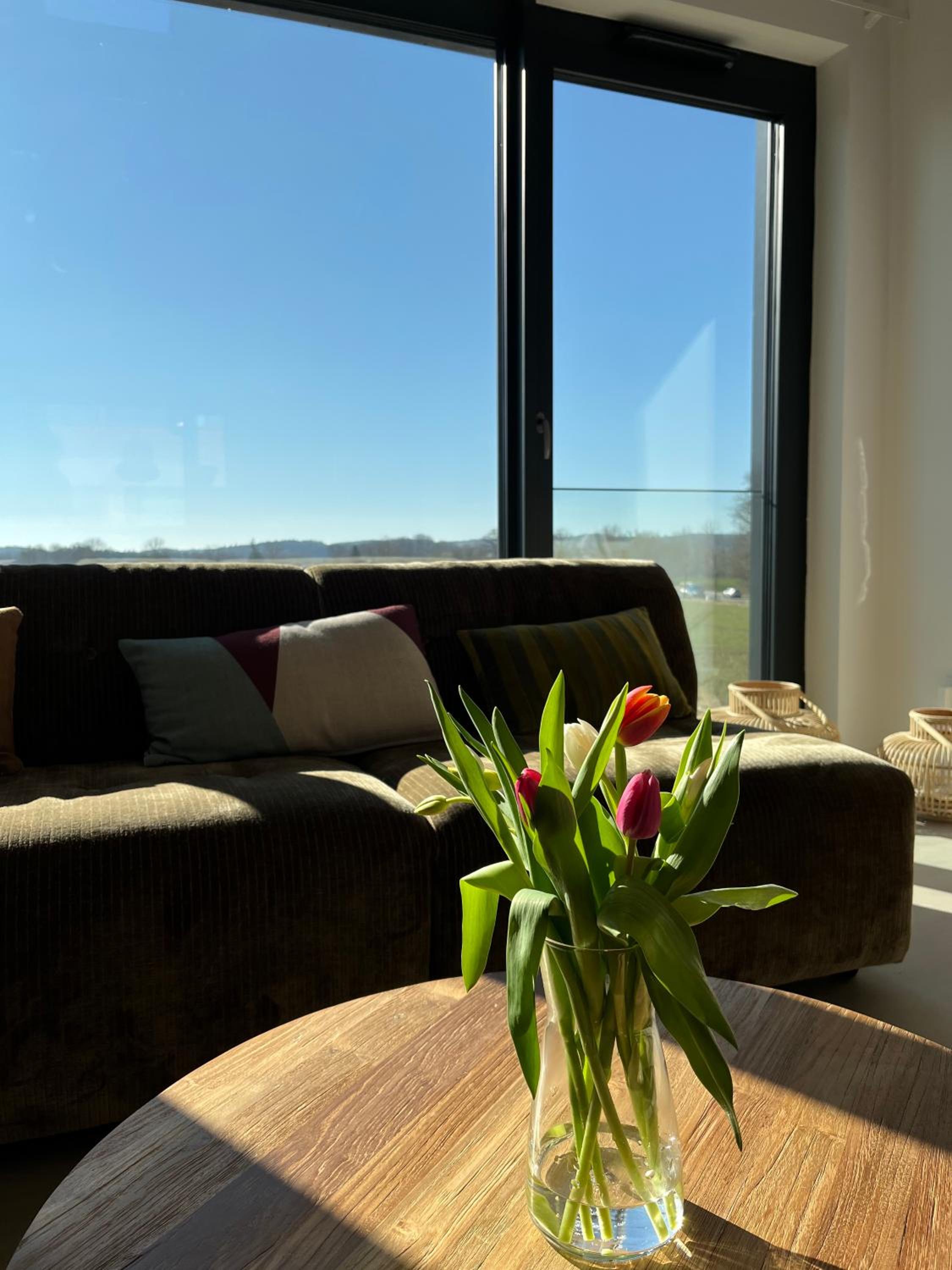 De ole School Ferienapartments Hohwacht Loft-Apartment 29 , Huus Blomen