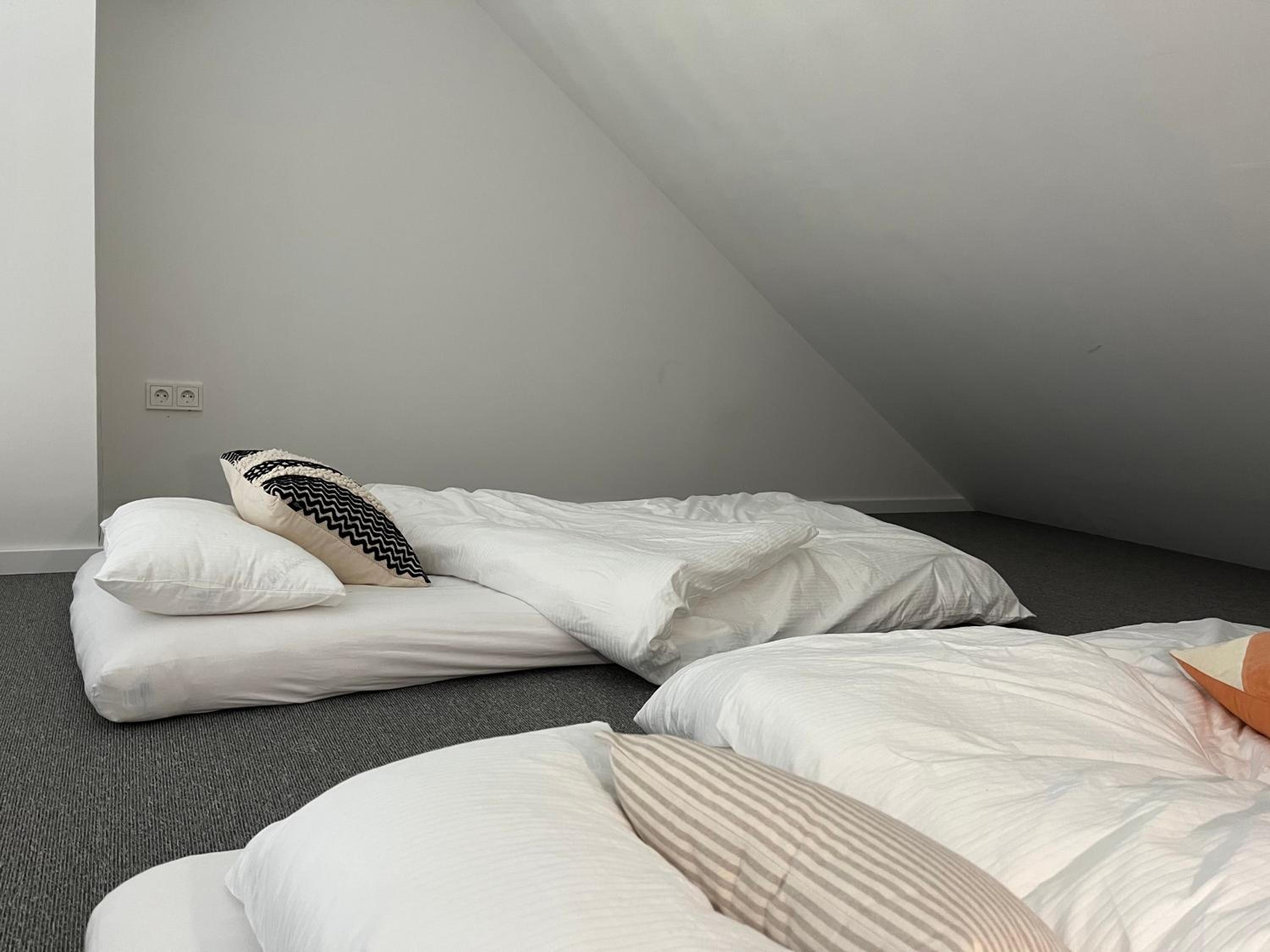 De ole School Ferienapartments Hohwacht Loft-Apartment 29 , Huus Blomen