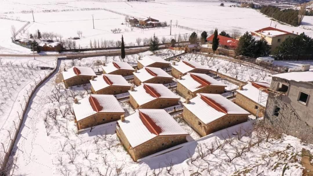 Chalets-Appartements Tourtite