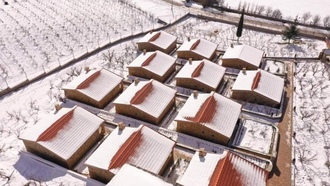 Chalets-Appartements Tourtite
