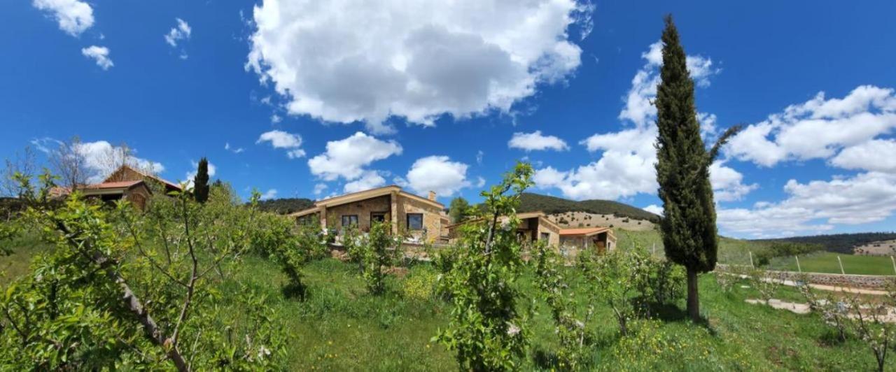 Chalets-Appartements Tourtite